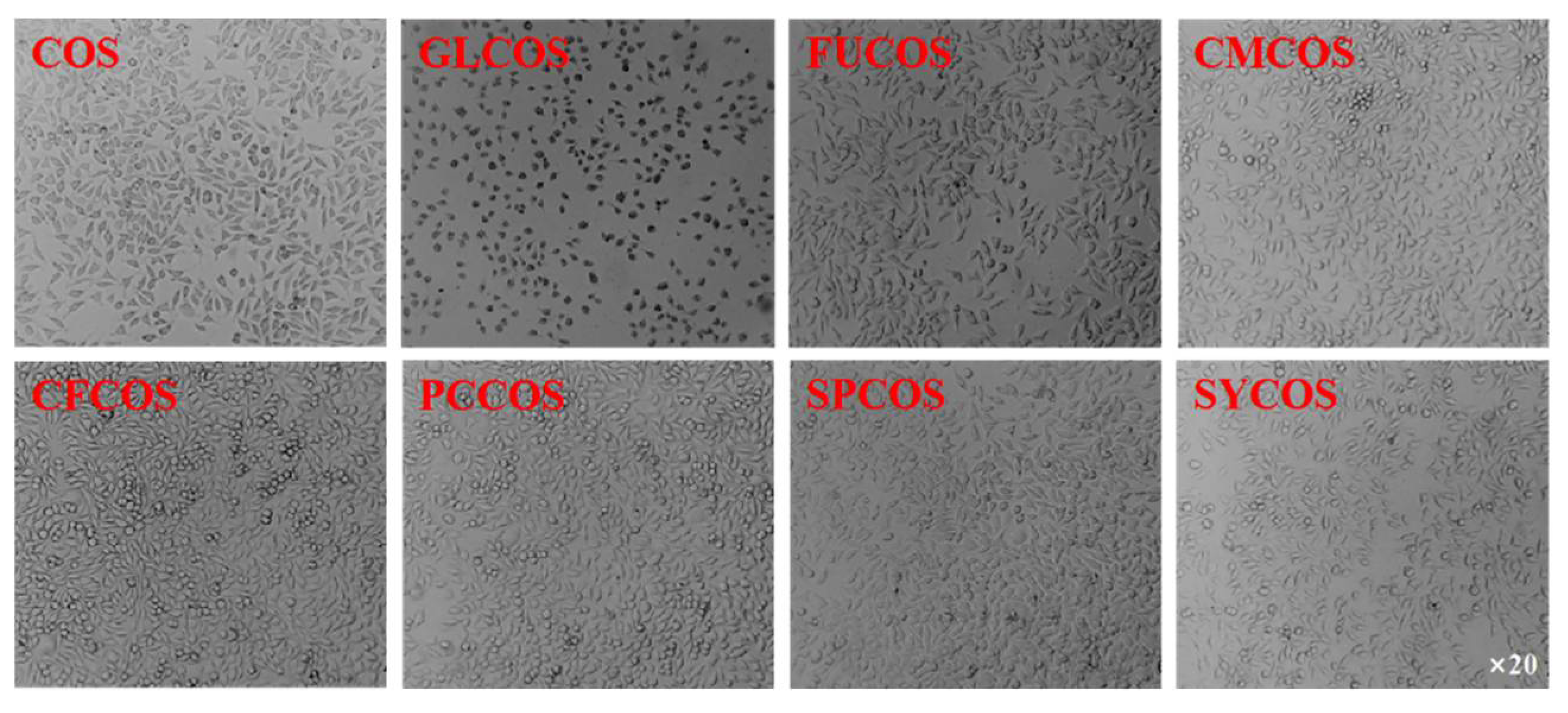 Marinedrugs 20 00489 g011