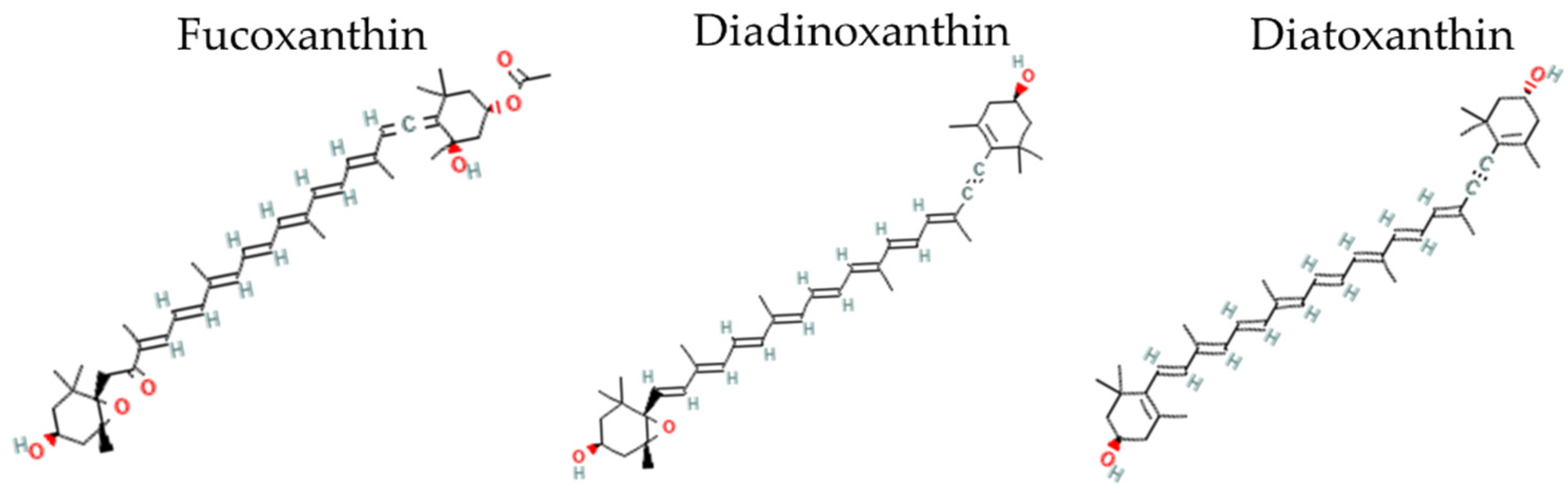 Marinedrugs 20 00491 g001