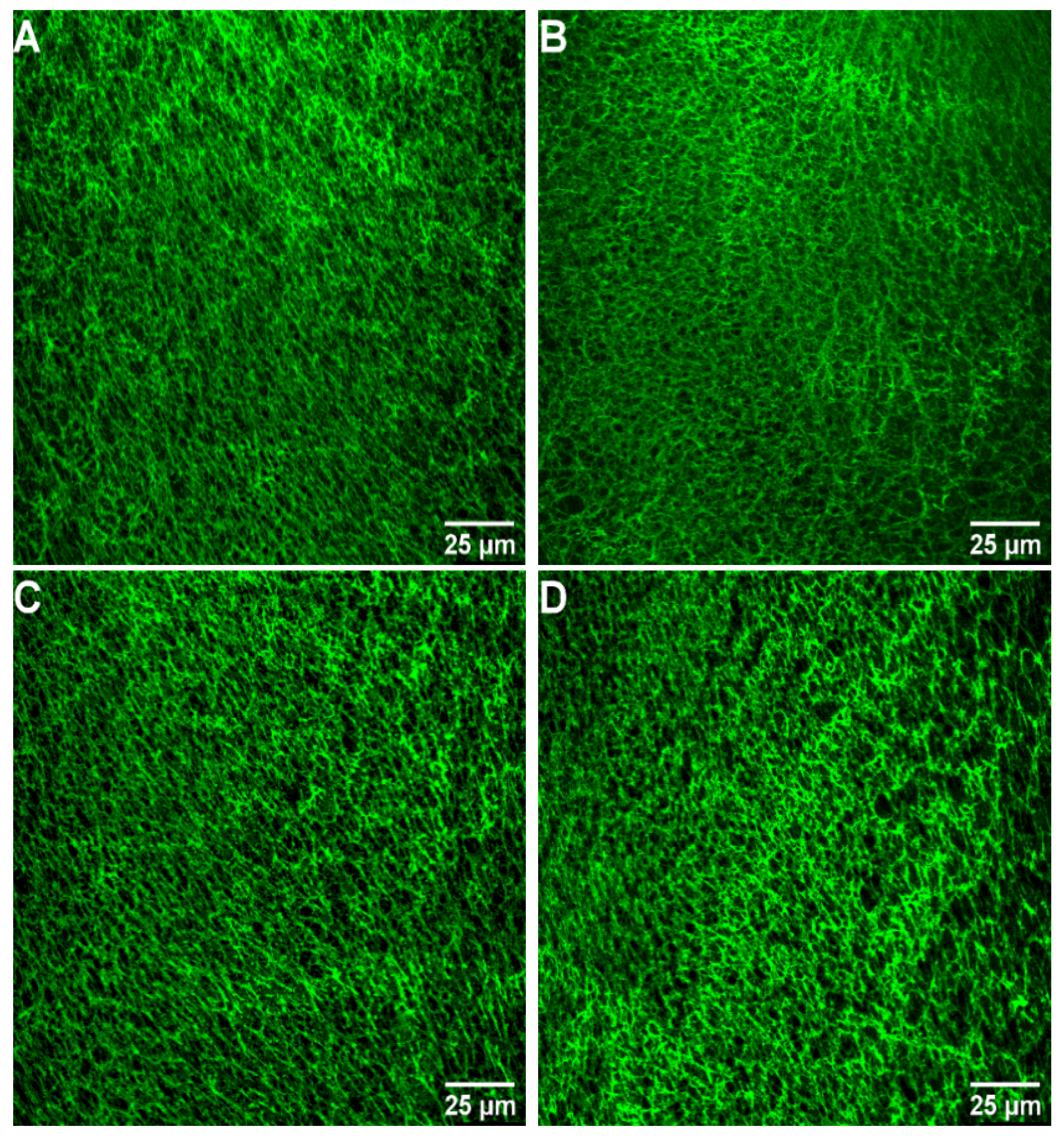 Marinedrugs 20 00495 g006a