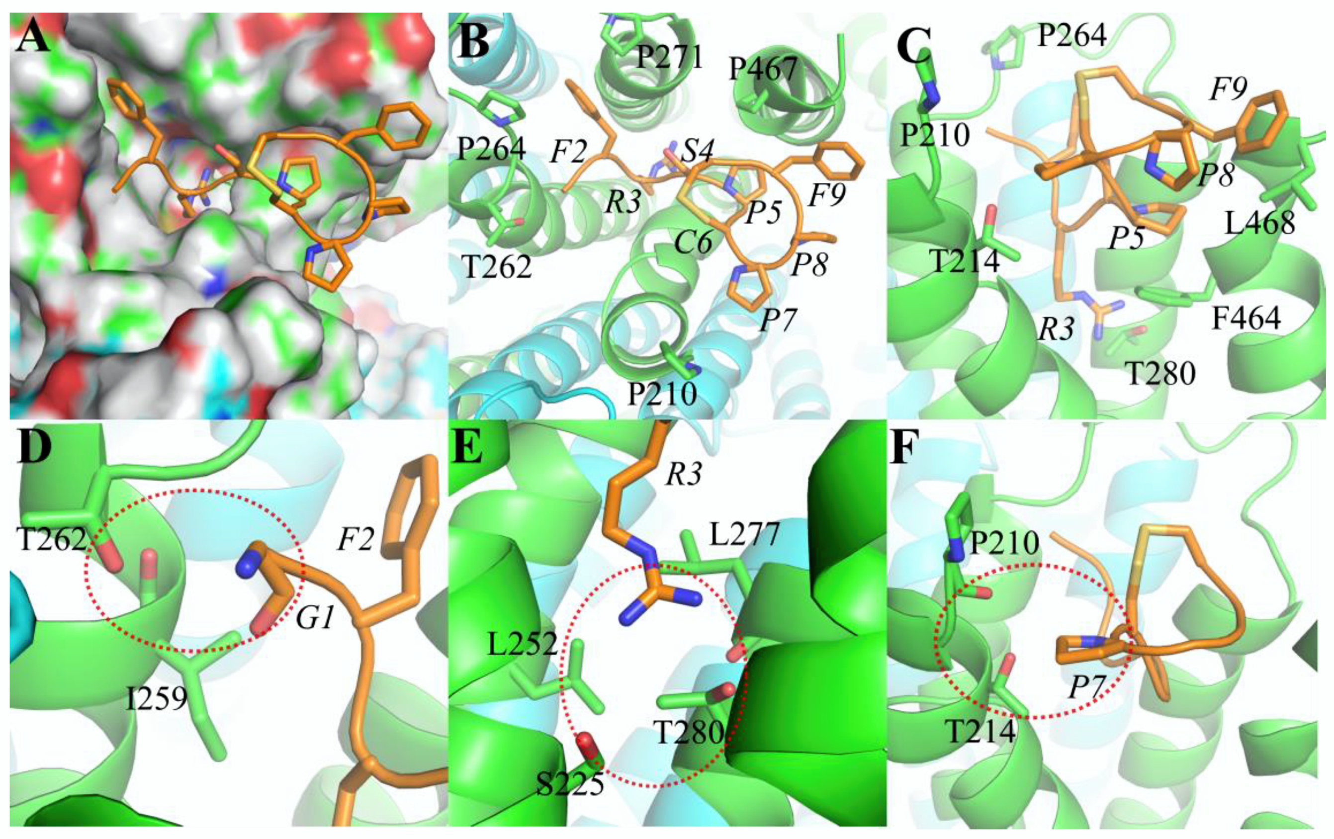 Marinedrugs 20 00497 g004