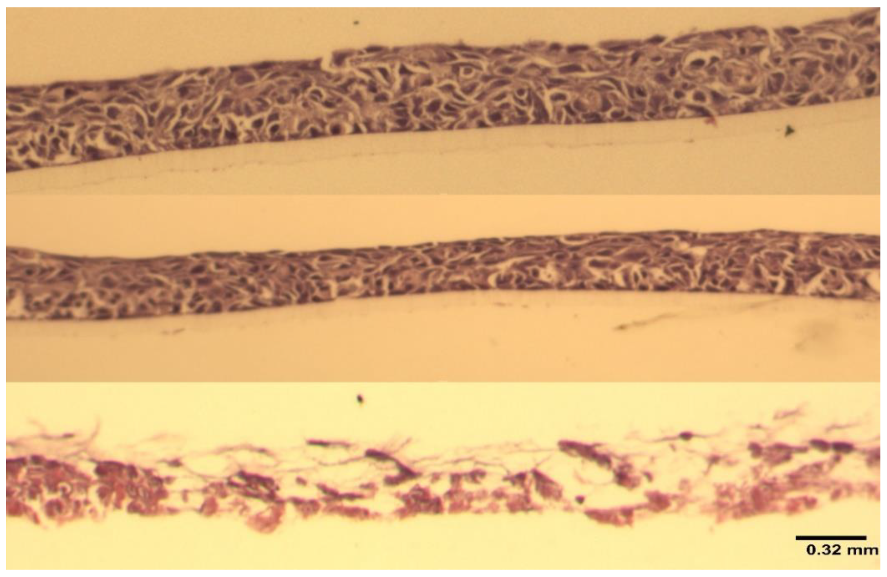 Marinedrugs 20 00502 g005