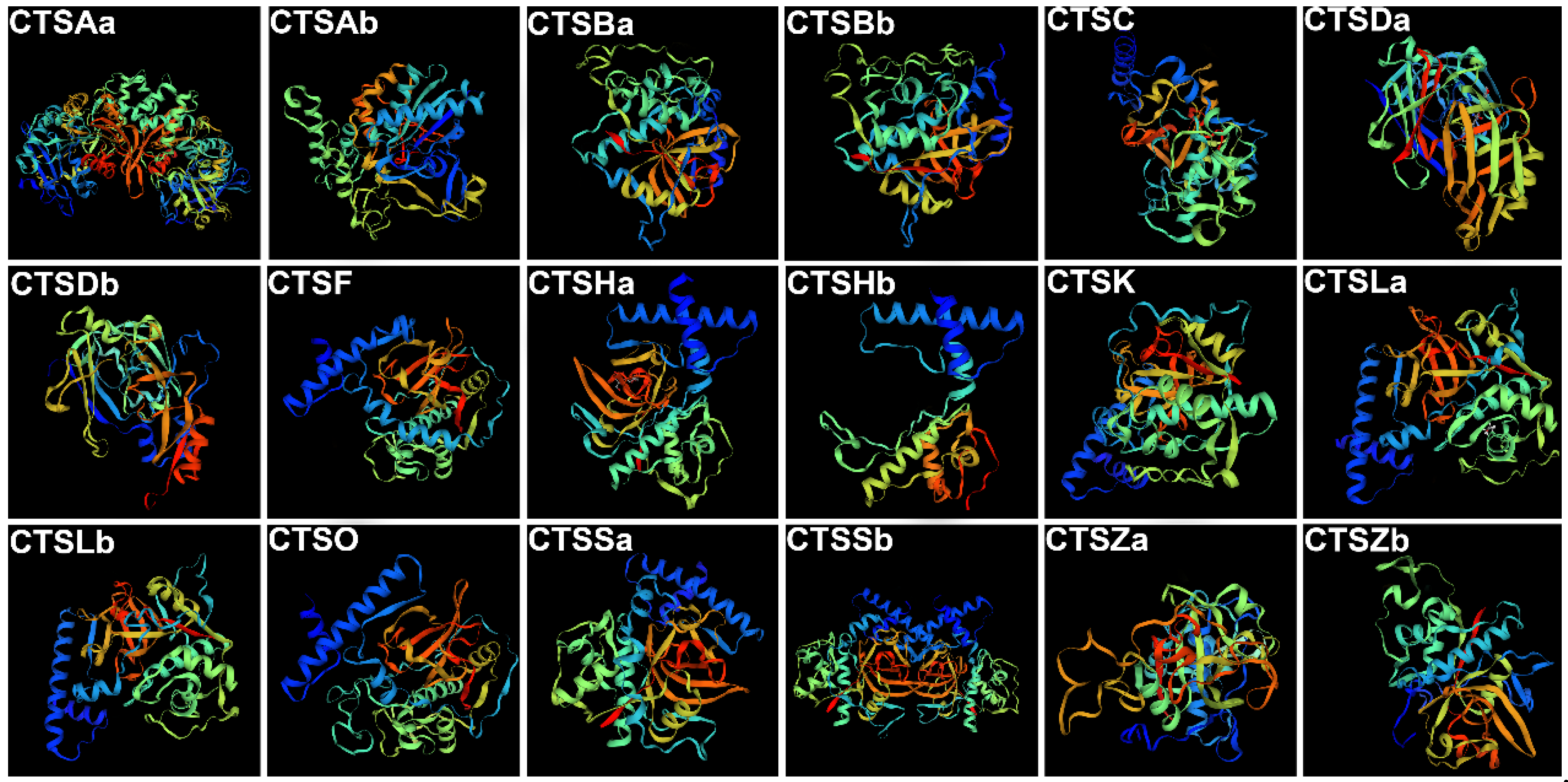 Marinedrugs 20 00504 g001