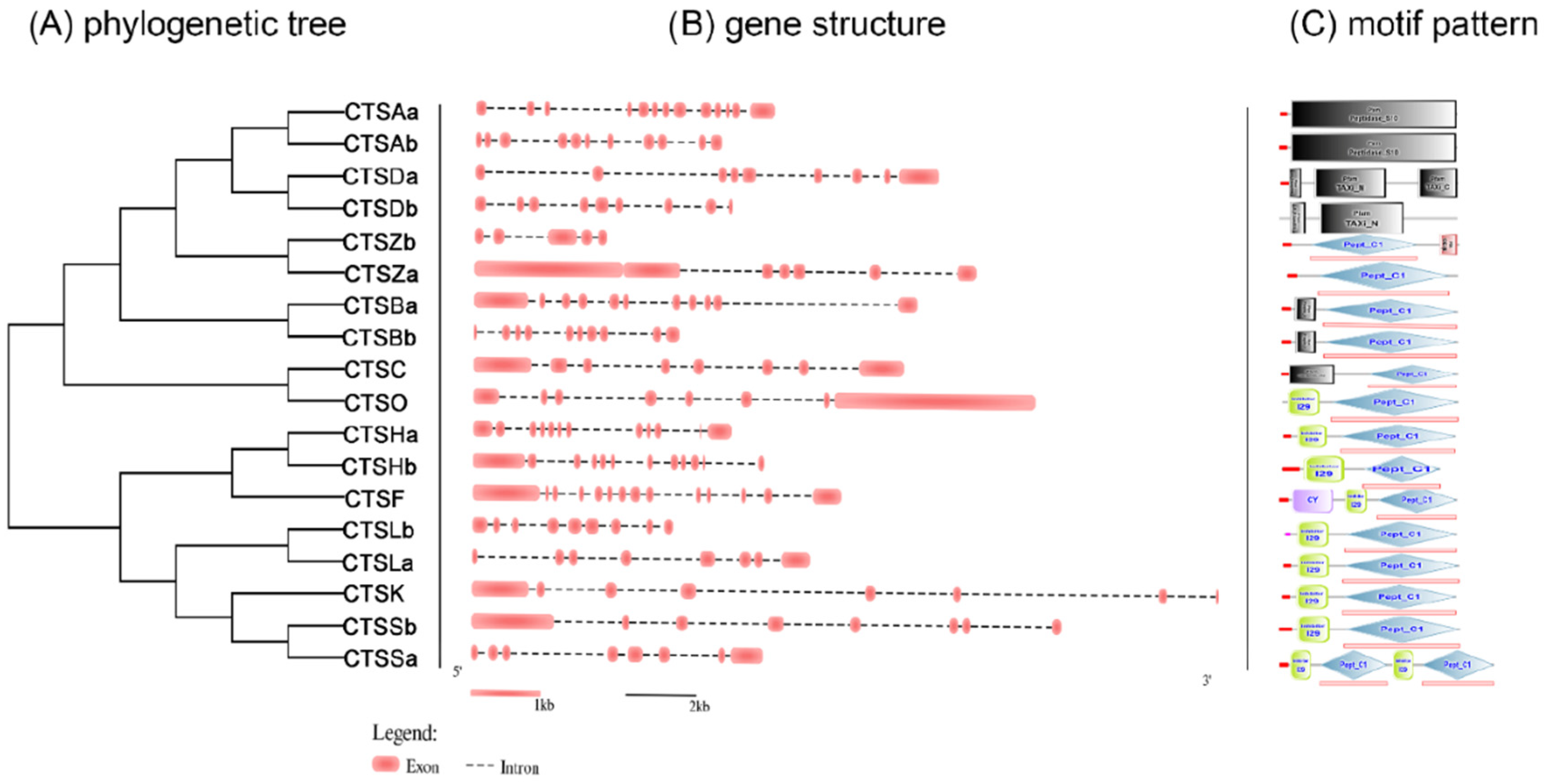 Marinedrugs 20 00504 g002