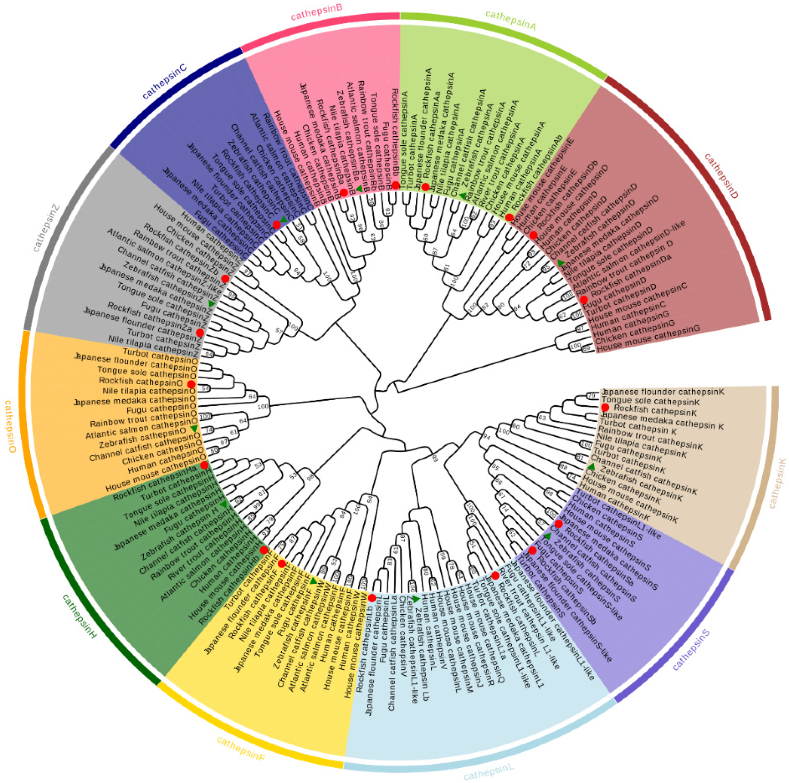 Marinedrugs 20 00504 g003