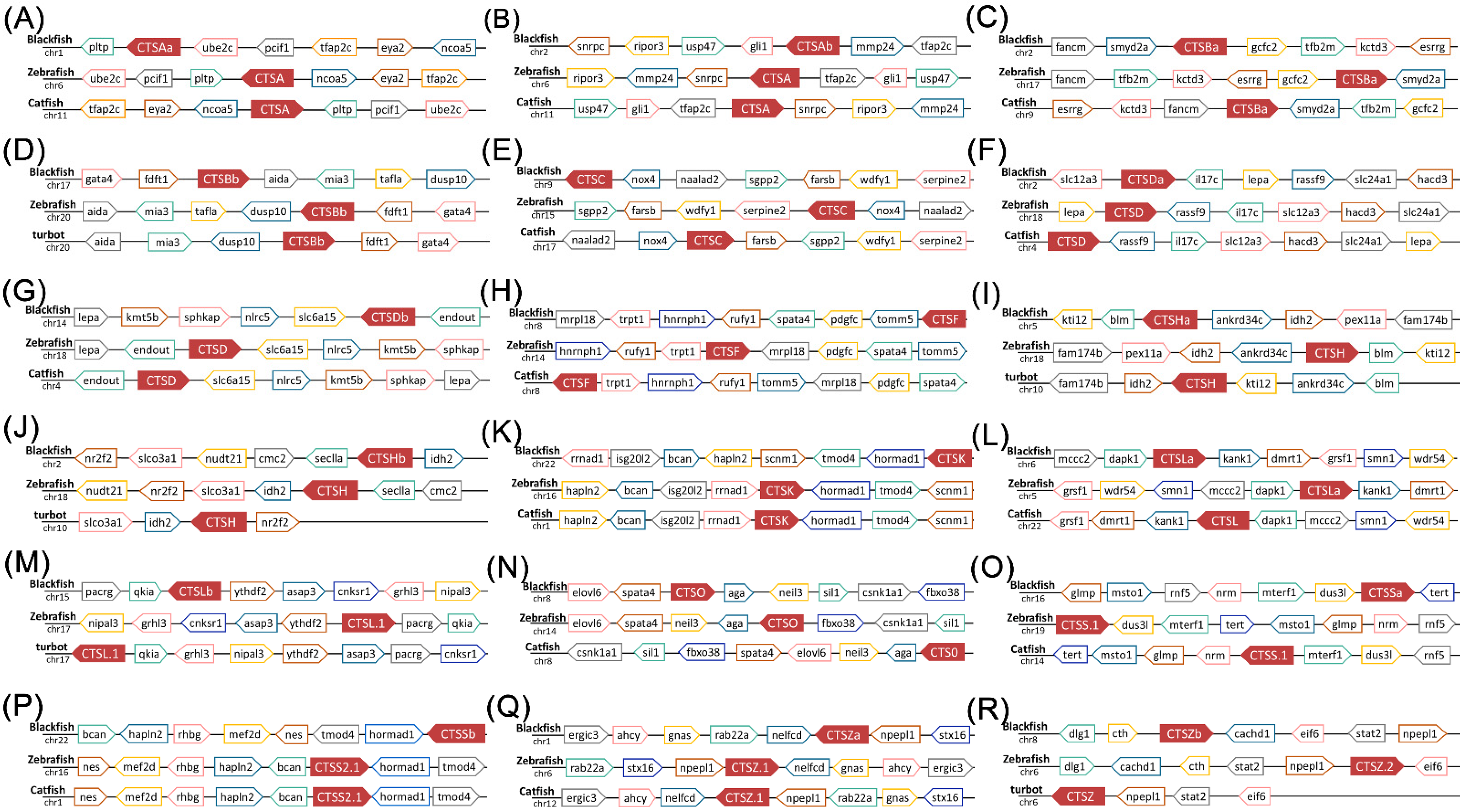 Marinedrugs 20 00504 g004