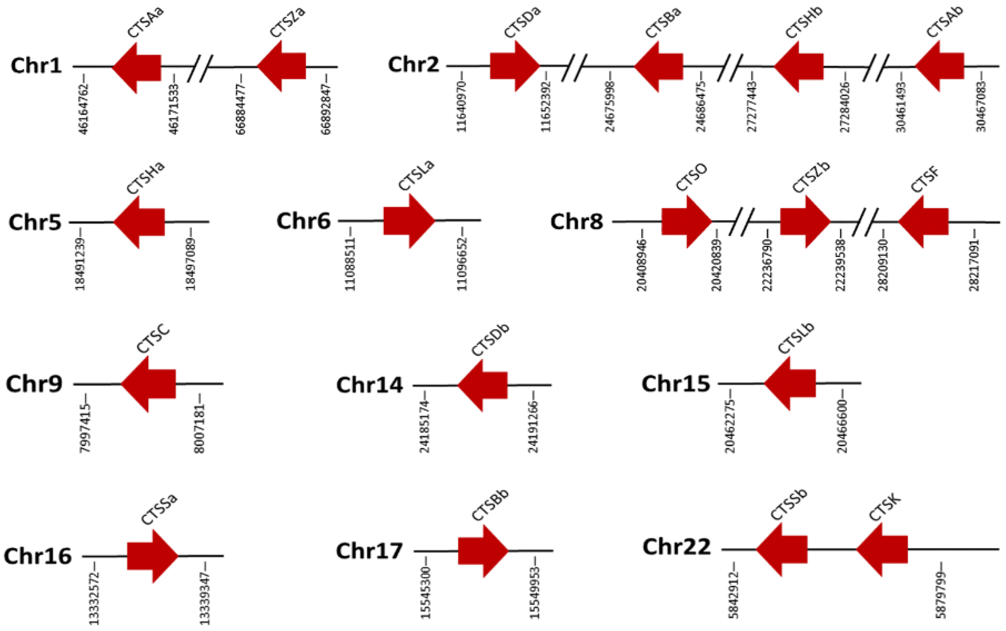 Marinedrugs 20 00504 g006