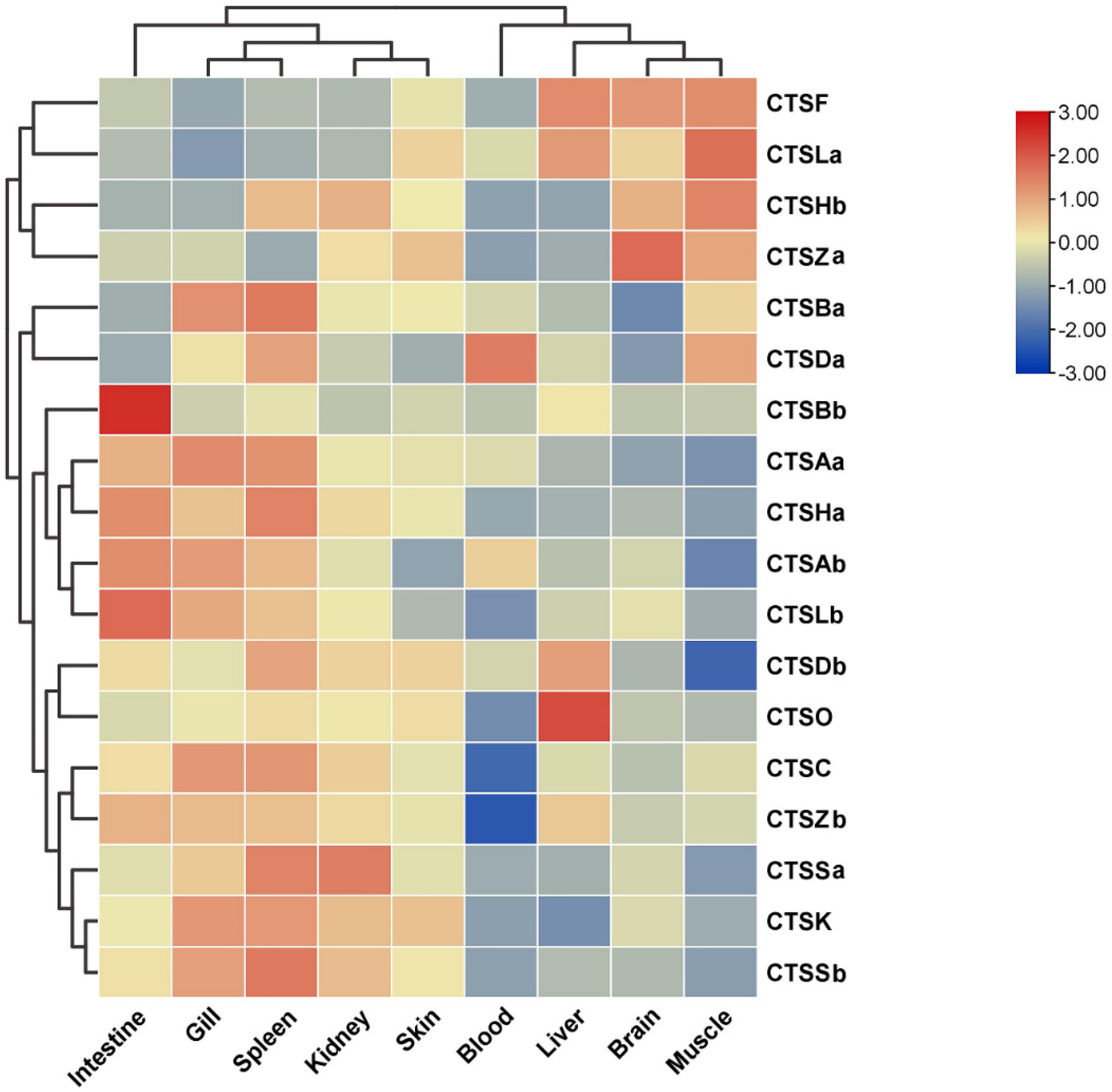 Marinedrugs 20 00504 g008