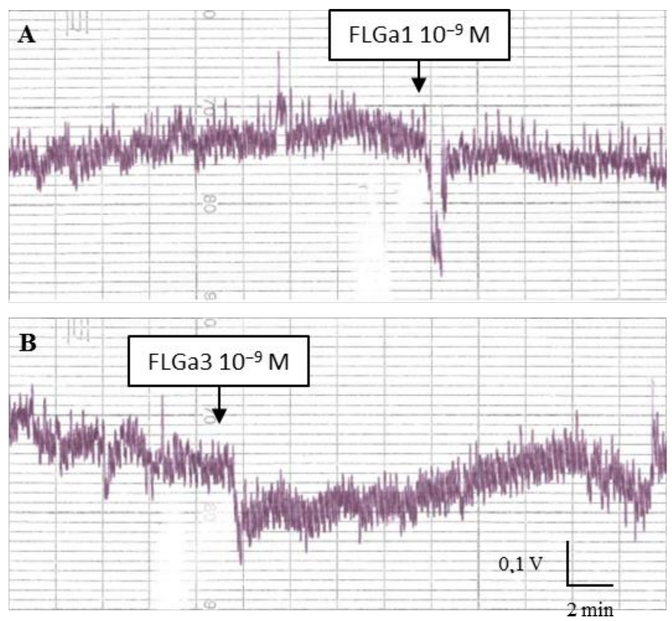 Marinedrugs 20 00505 g006 Marinedrugs 20 00505 g006