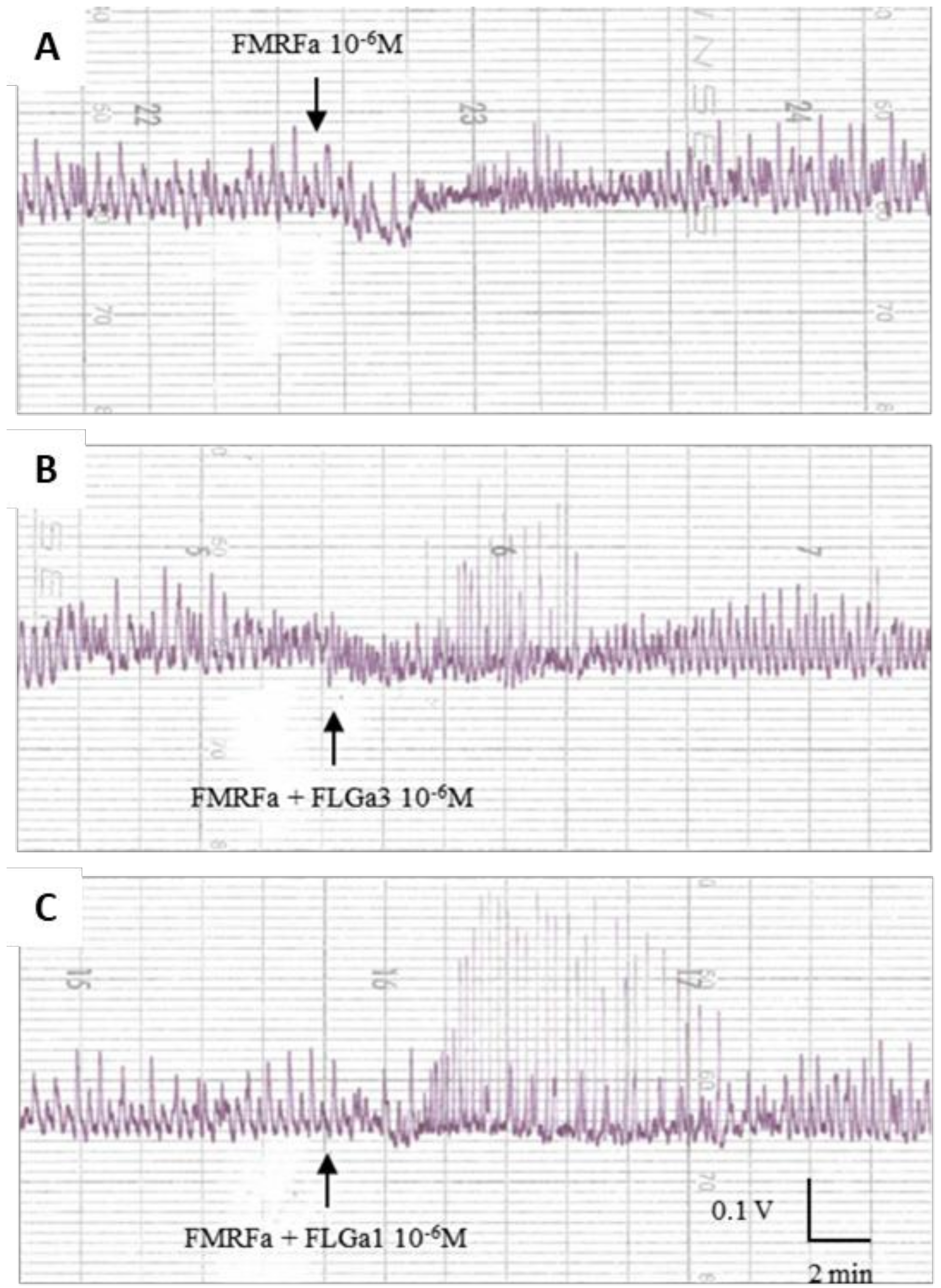Marinedrugs 20 00505 g008 Marinedrugs 20 00505 g008