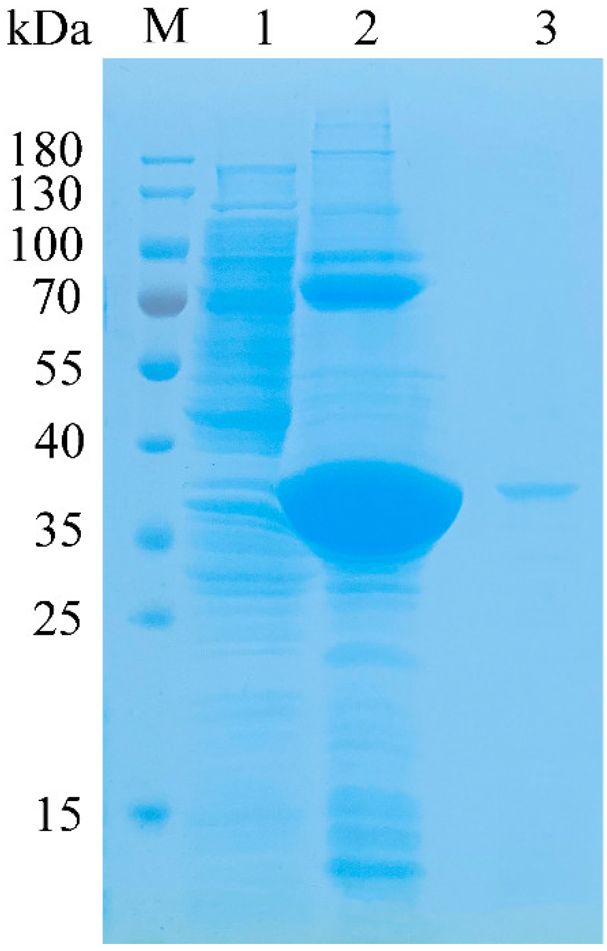 Marinedrugs 20 00506 g003 550