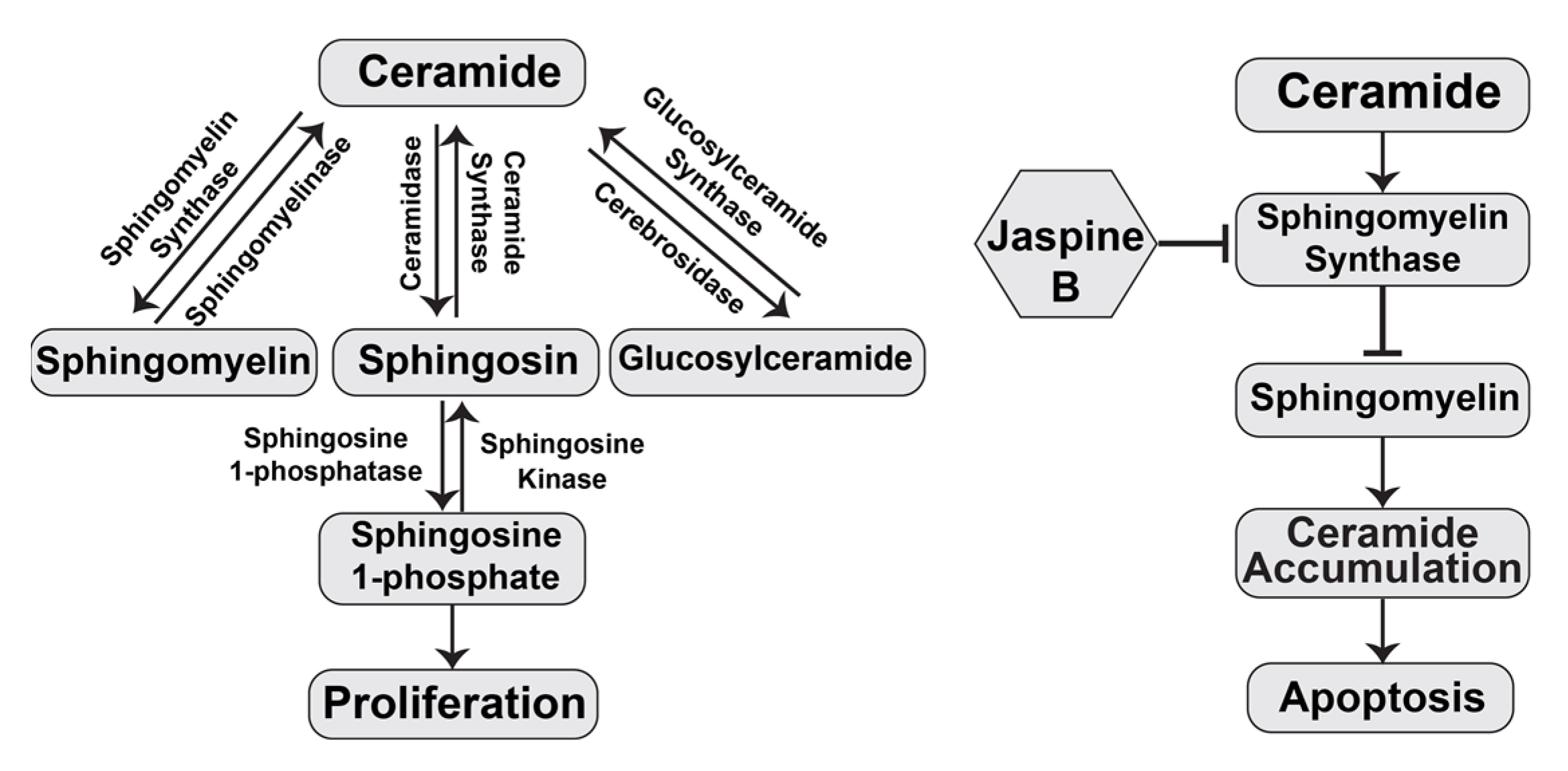 Marinedrugs 20 00509 g001