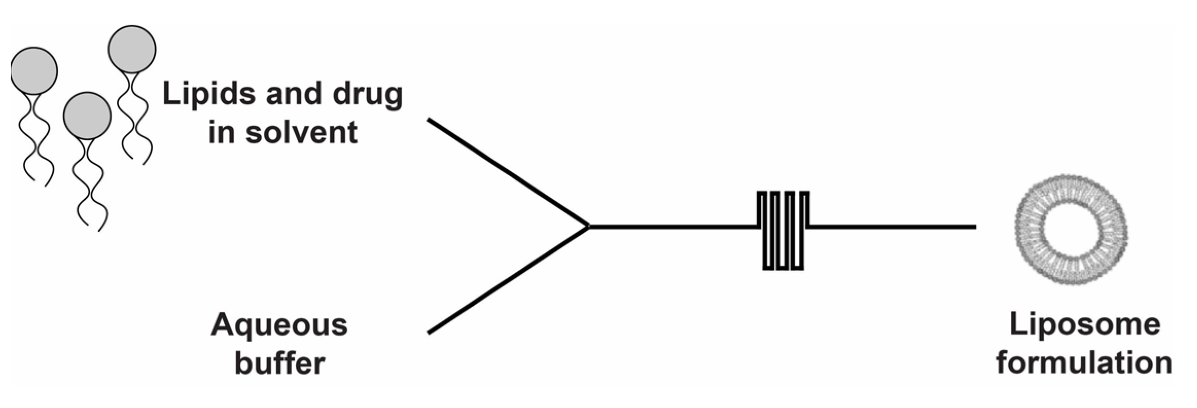 Marinedrugs 20 00509 g002