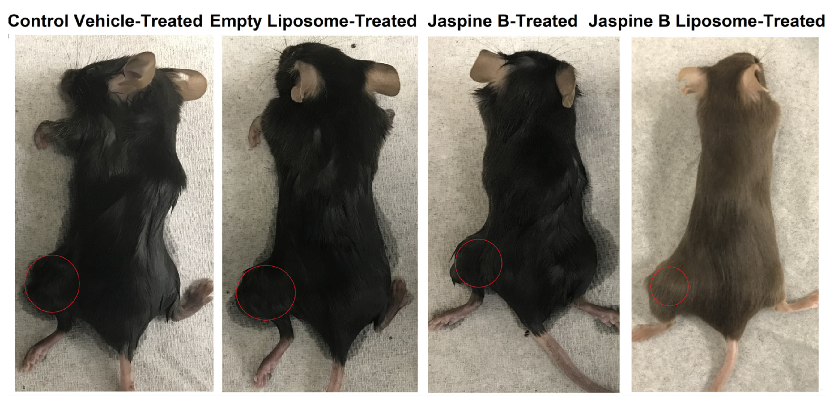 Marinedrugs 20 00509 g008