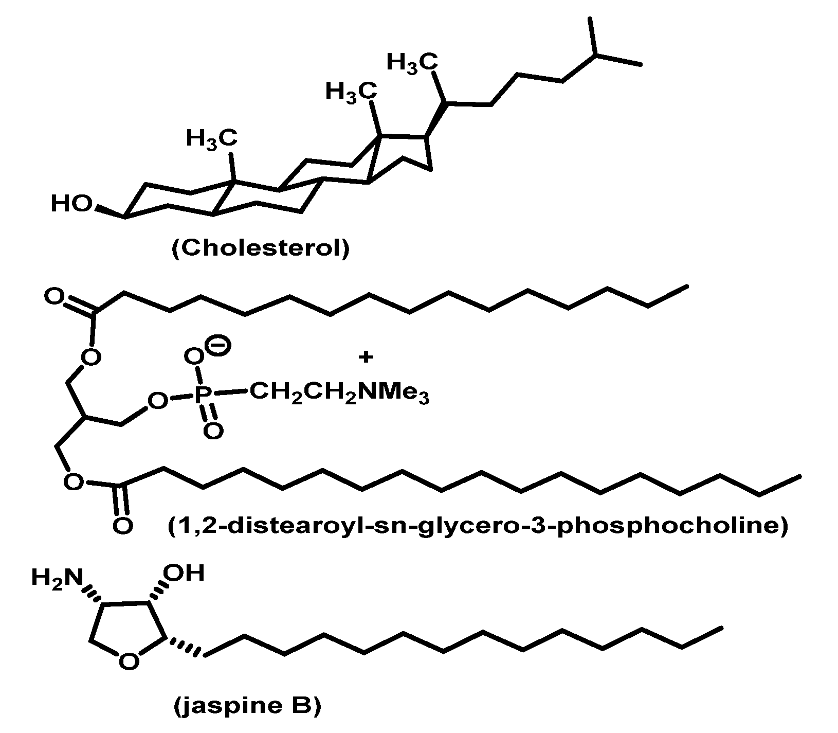 Marinedrugs 20 00509 g010