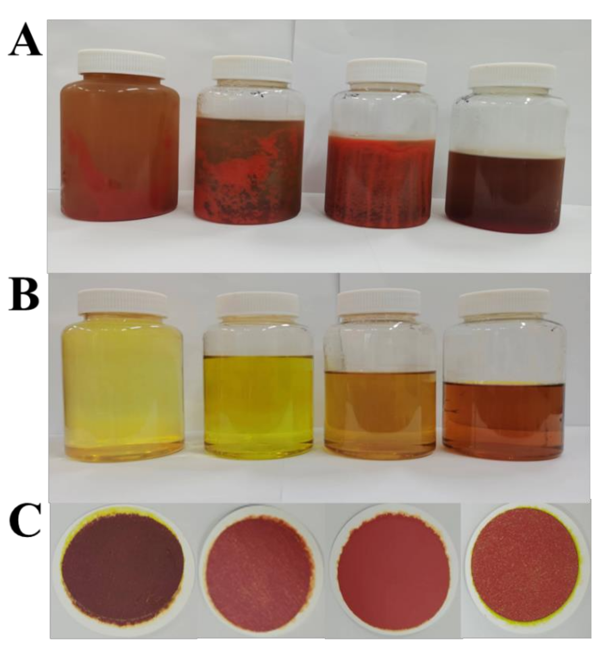 Marinedrugs 20 00510 g004