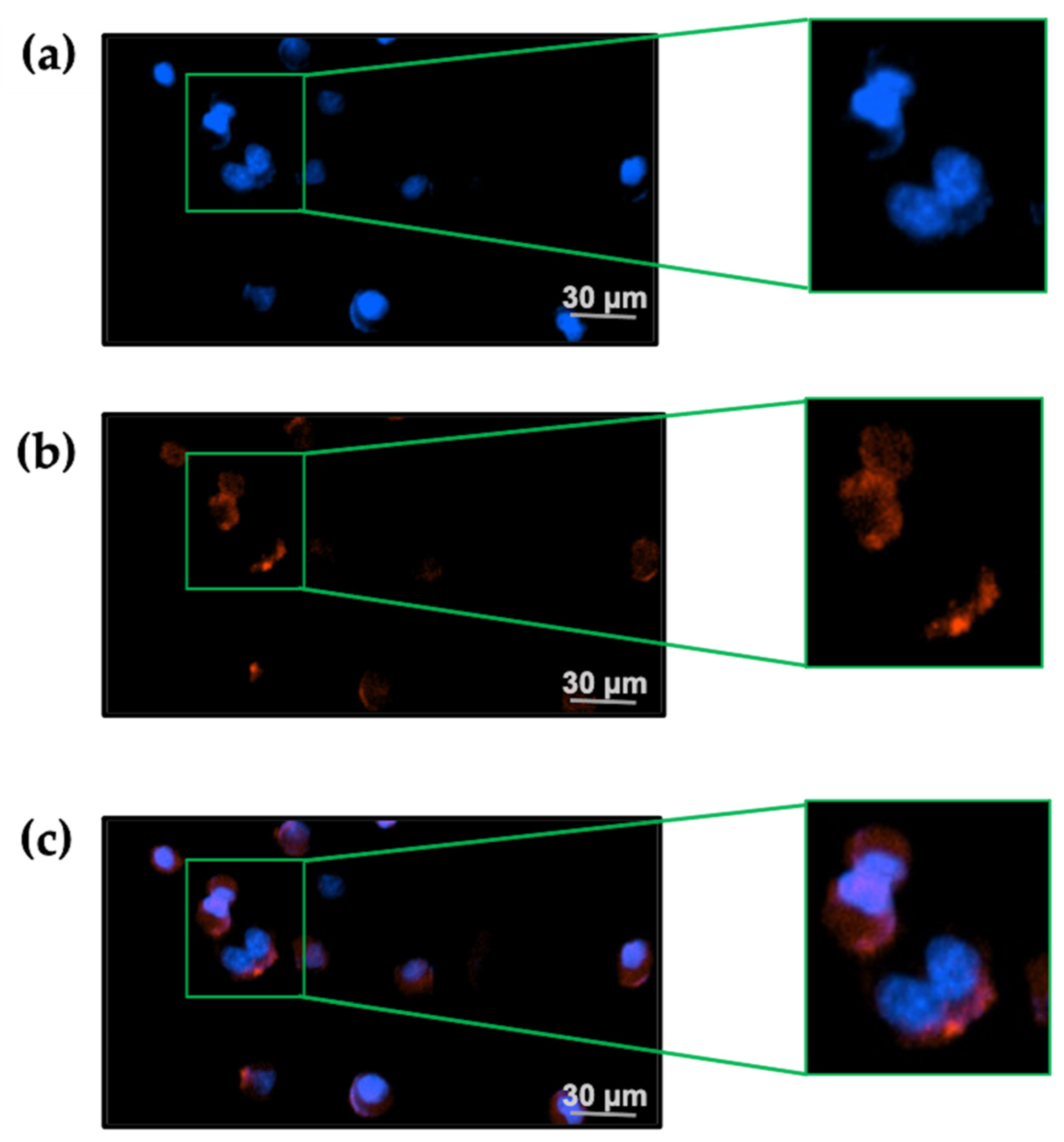 Marinedrugs 20 00511 g006 Marinedrugs 20 00511 g006