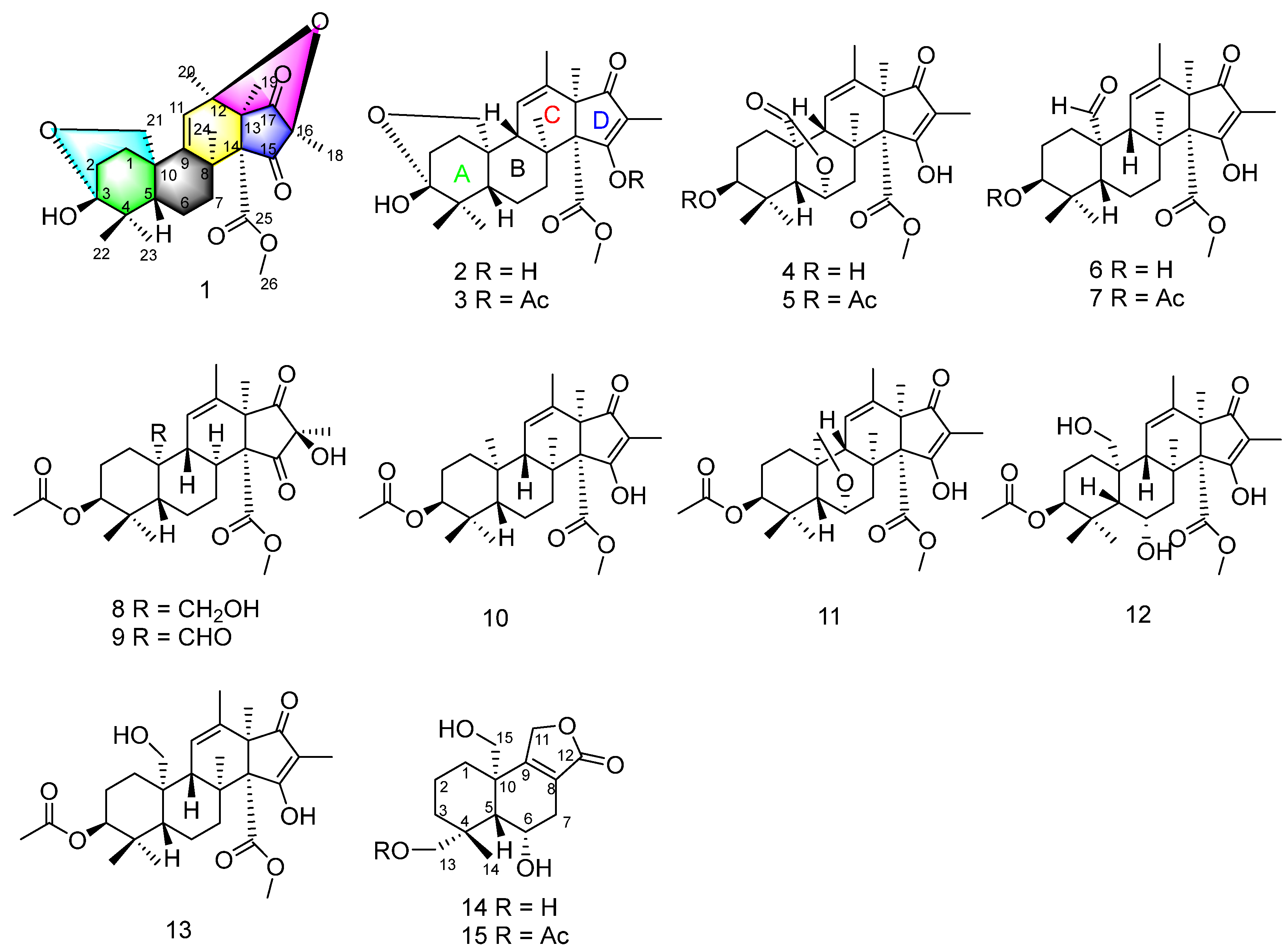 Marinedrugs 20 00514 g001