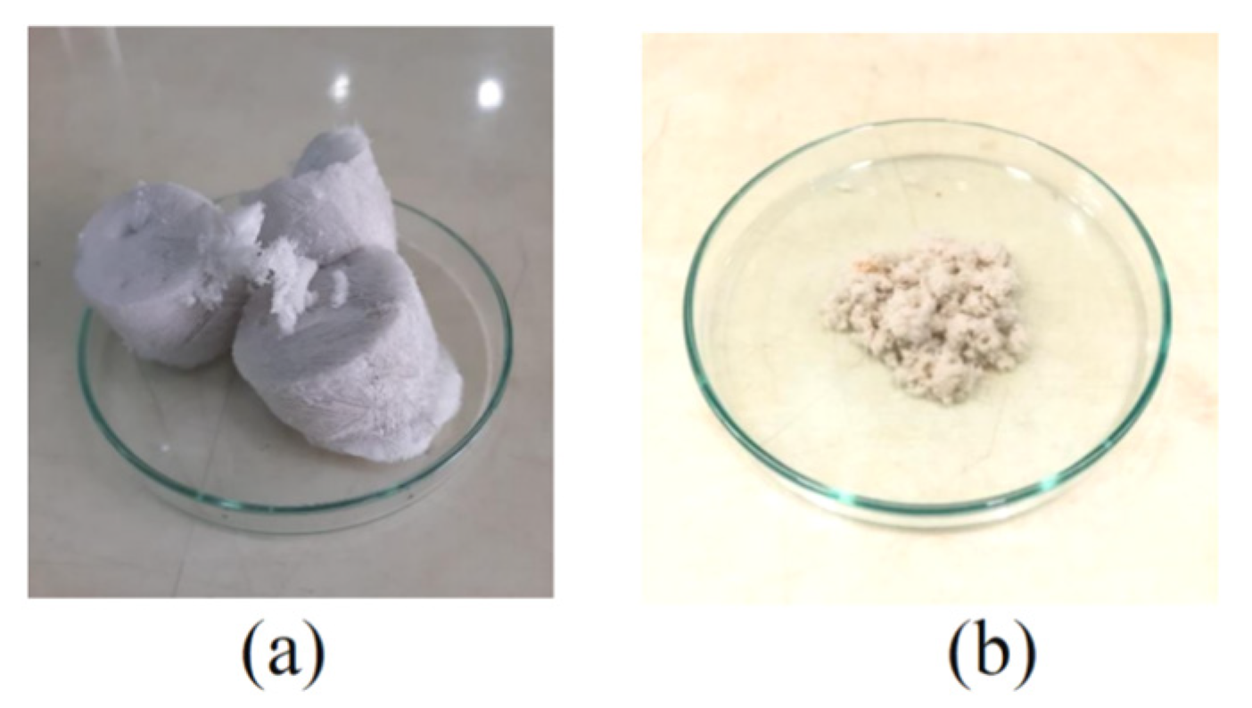 Marinedrugs 20 00516 g001