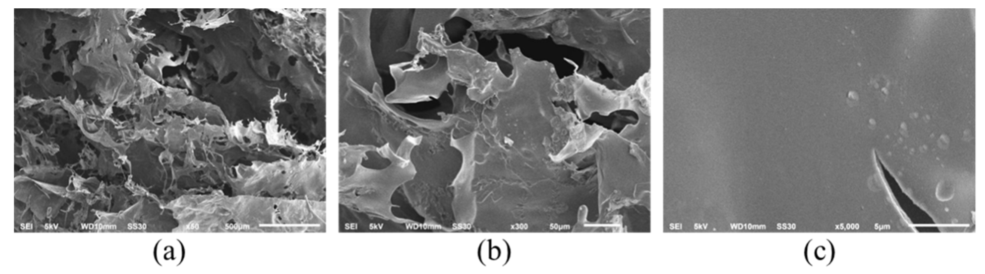 Marinedrugs 20 00516 g002