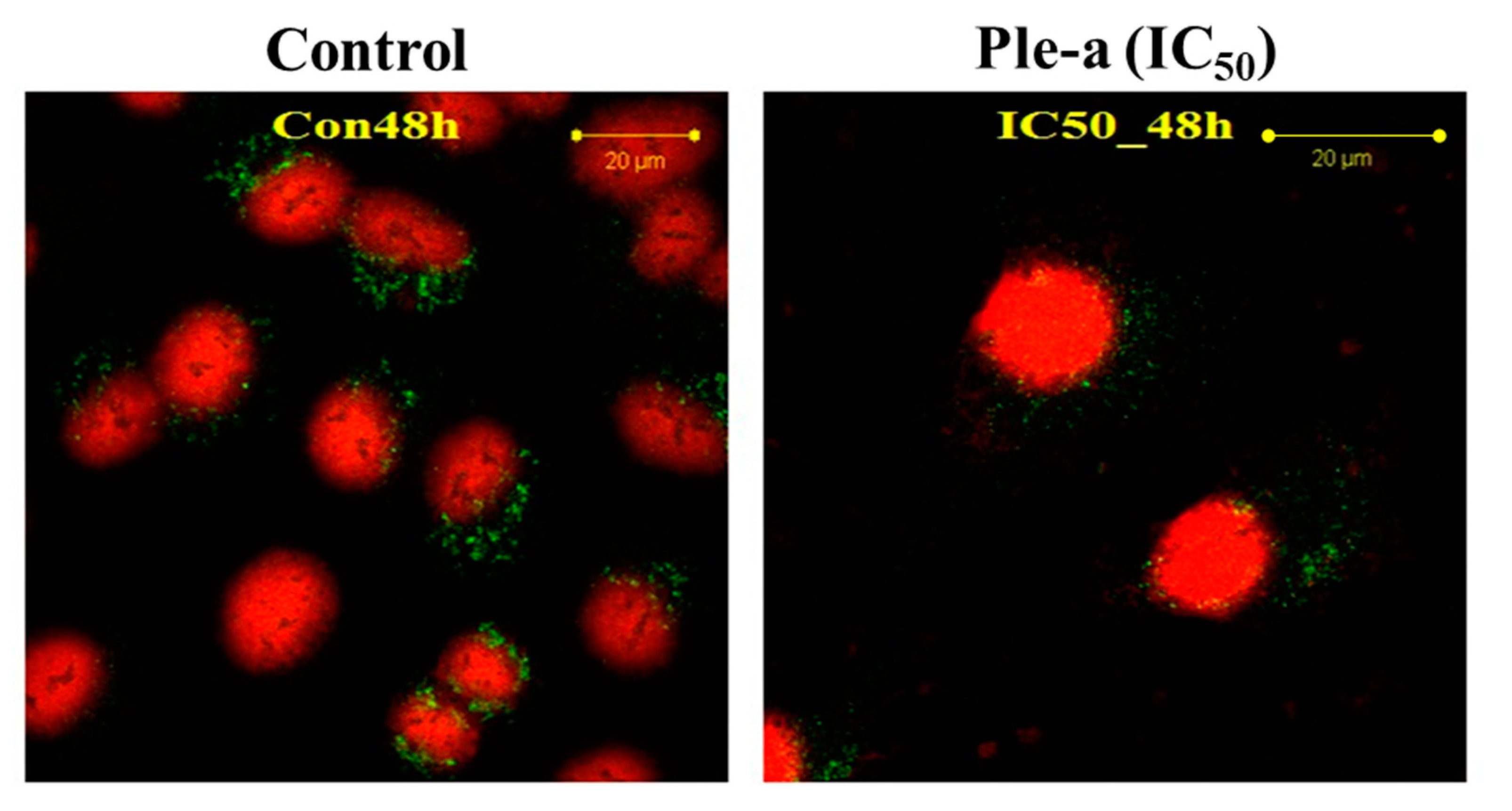 Marinedrugs 20 00519 g007