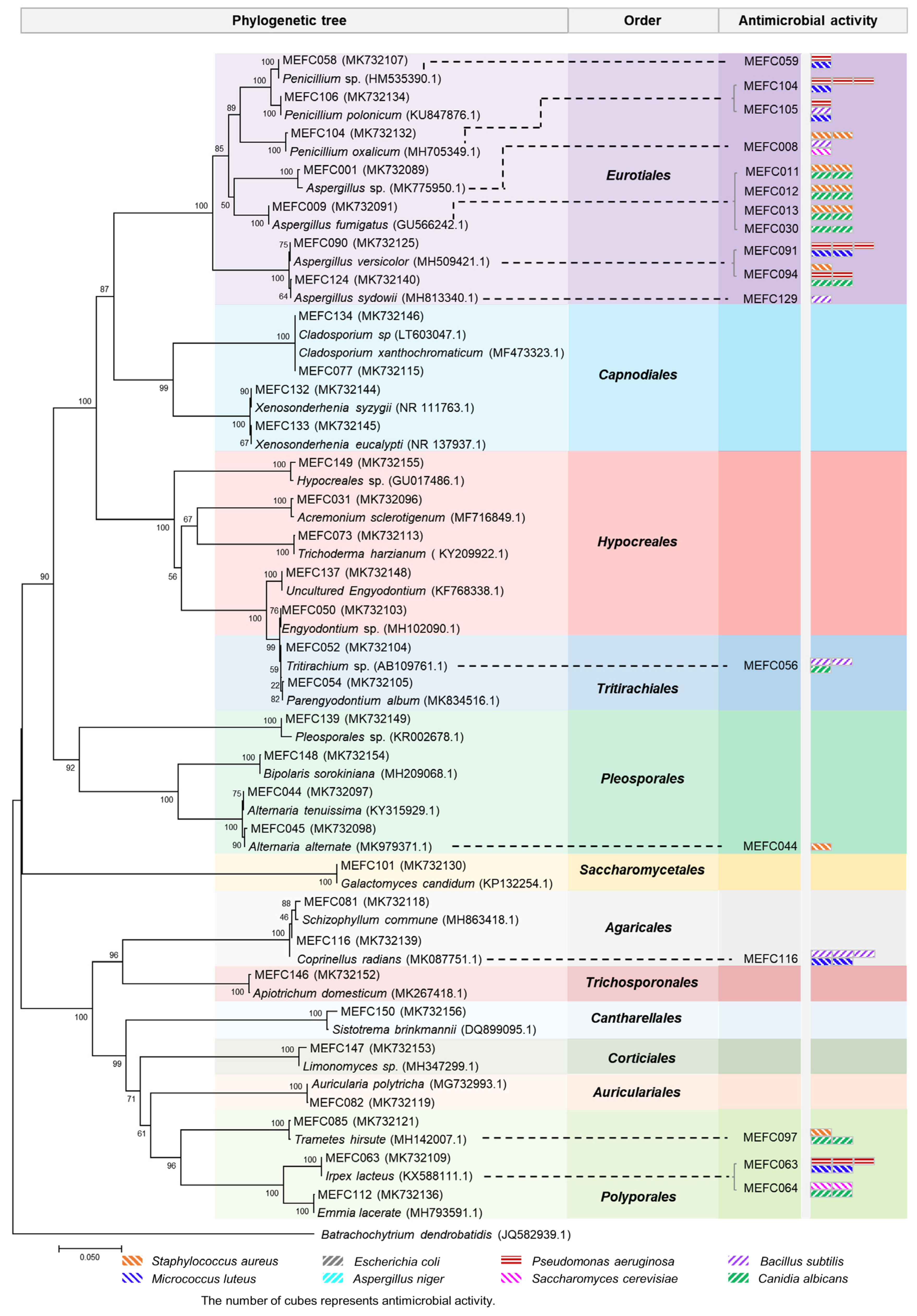 Marinedrugs 20 00523 g001