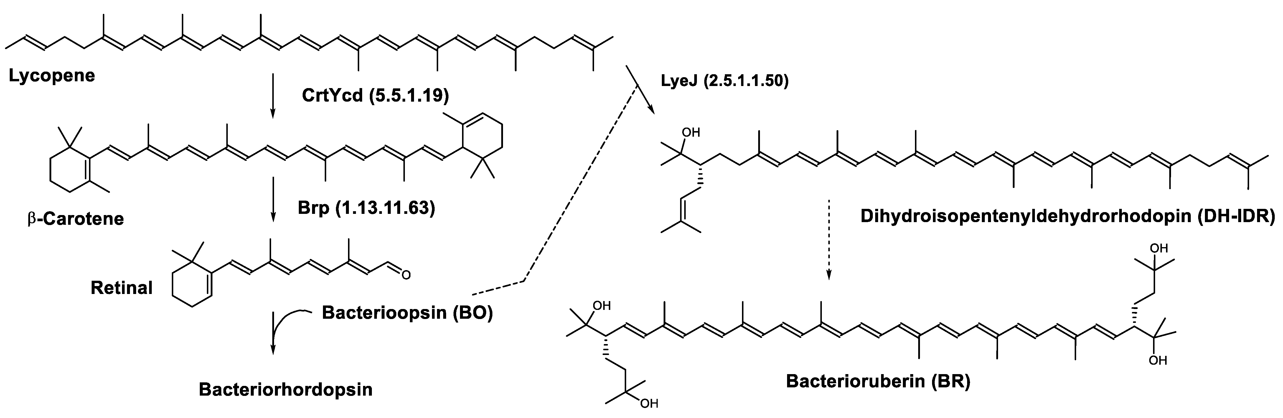 Marinedrugs 20 00524 g008 Marinedrugs 20 00524 g008