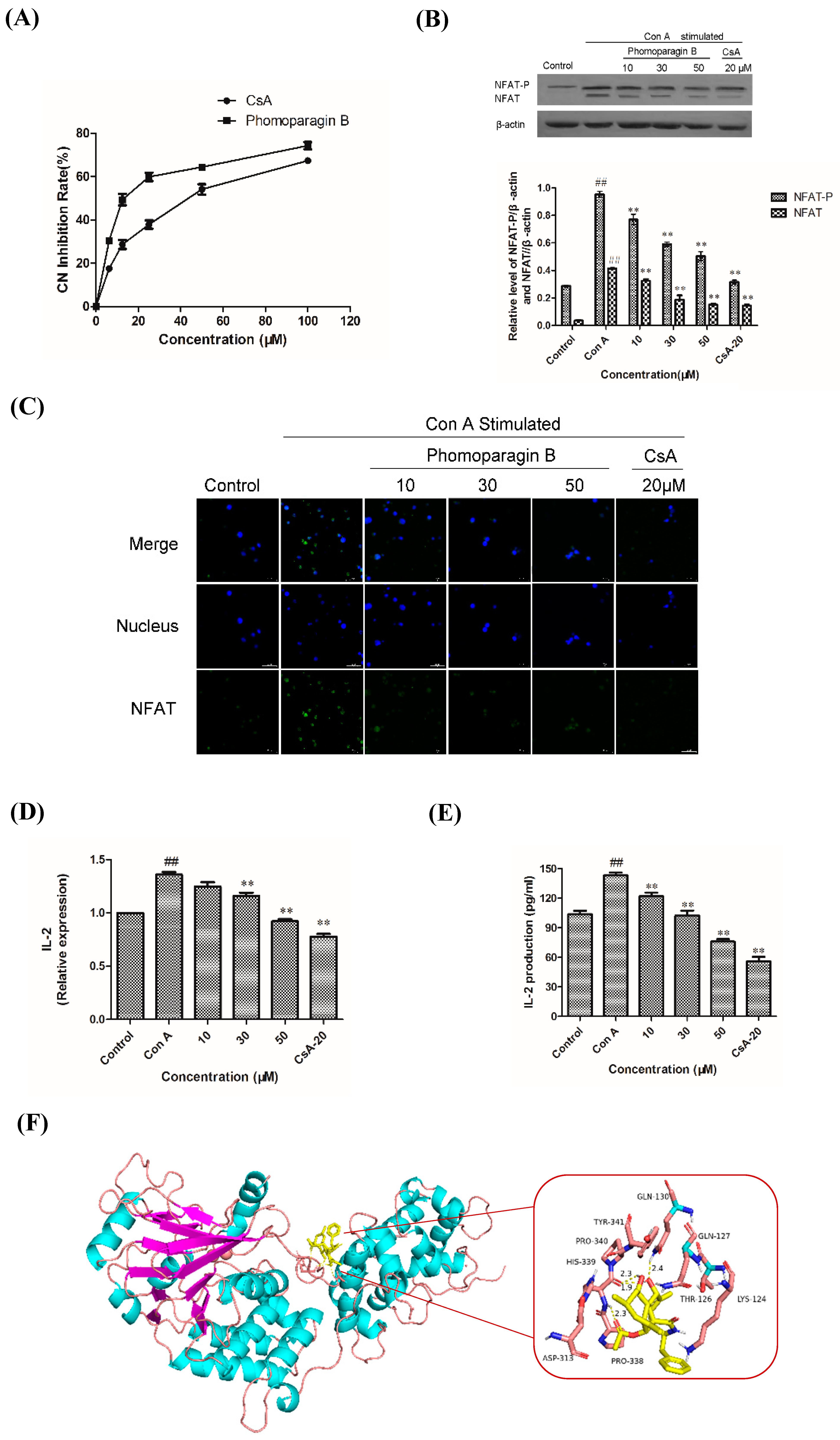Marinedrugs 20 00526 g006 550