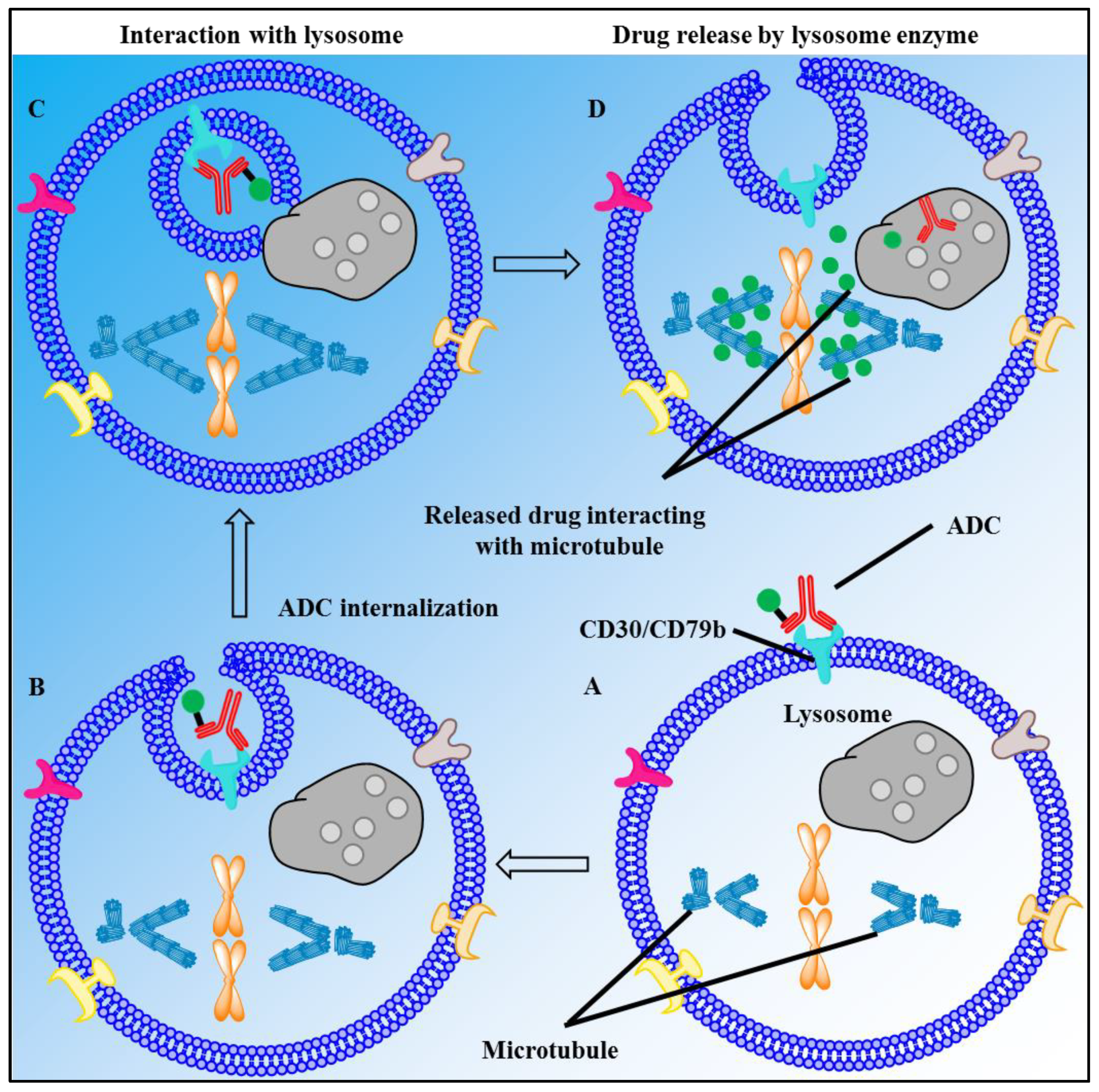 Marinedrugs 20 00528 g008 Marinedrugs 20 00528 g008