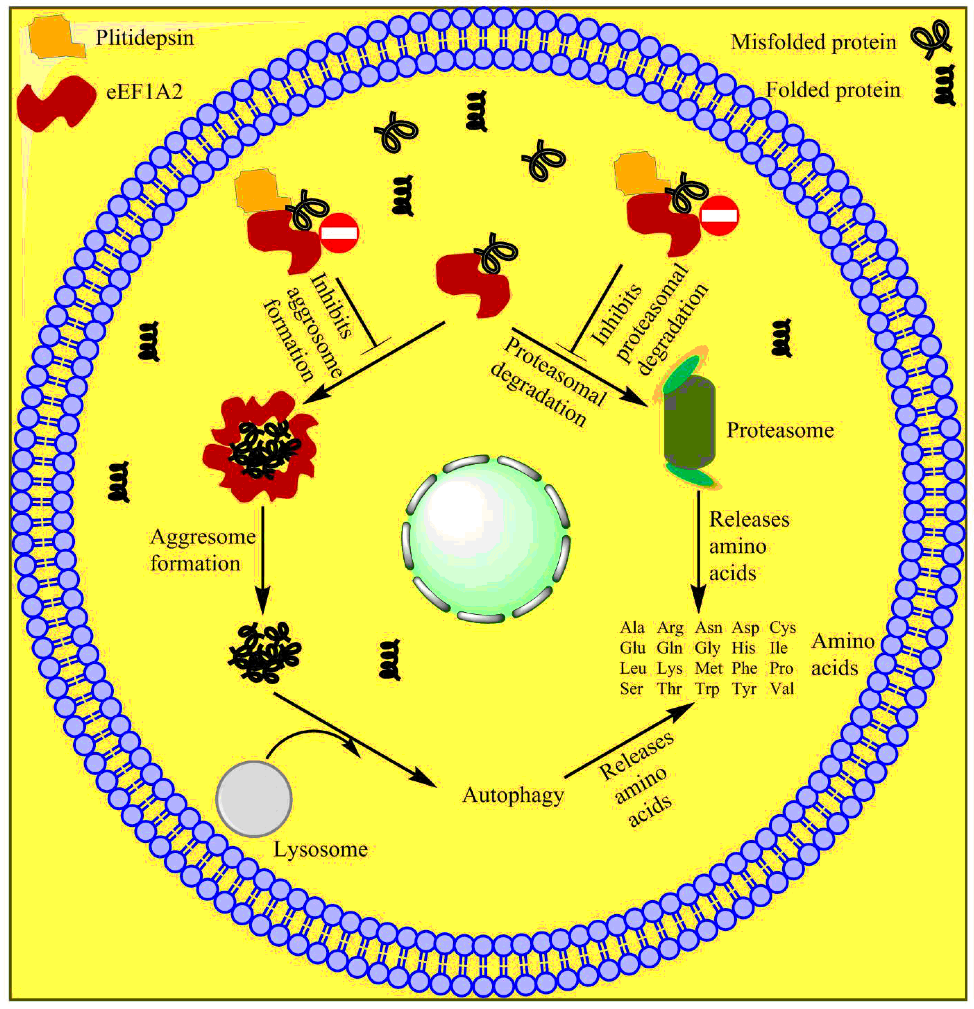 Marinedrugs 20 00528 g010 Marinedrugs 20 00528 g010