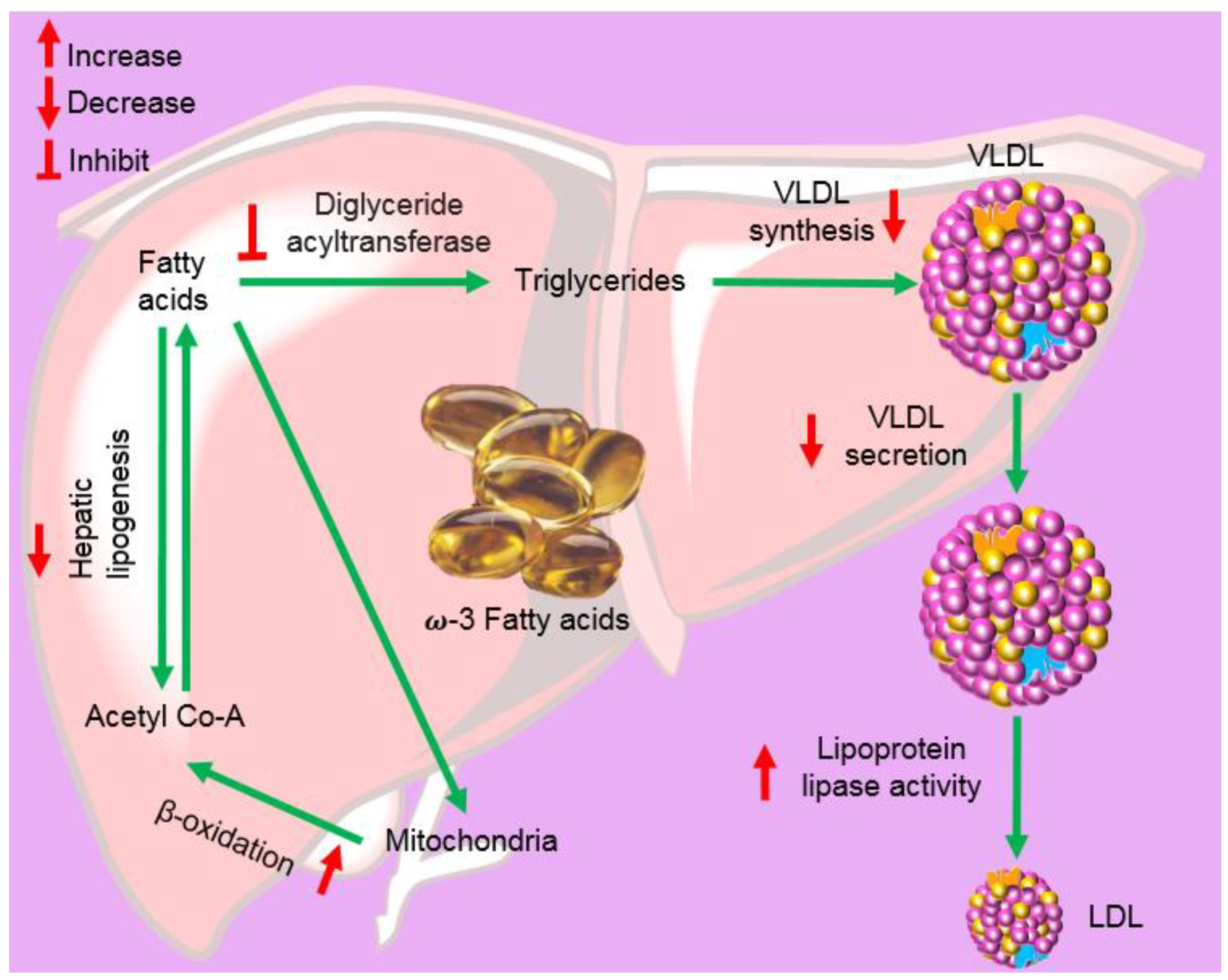 Marinedrugs 20 00528 g015 Marinedrugs 20 00528 g015