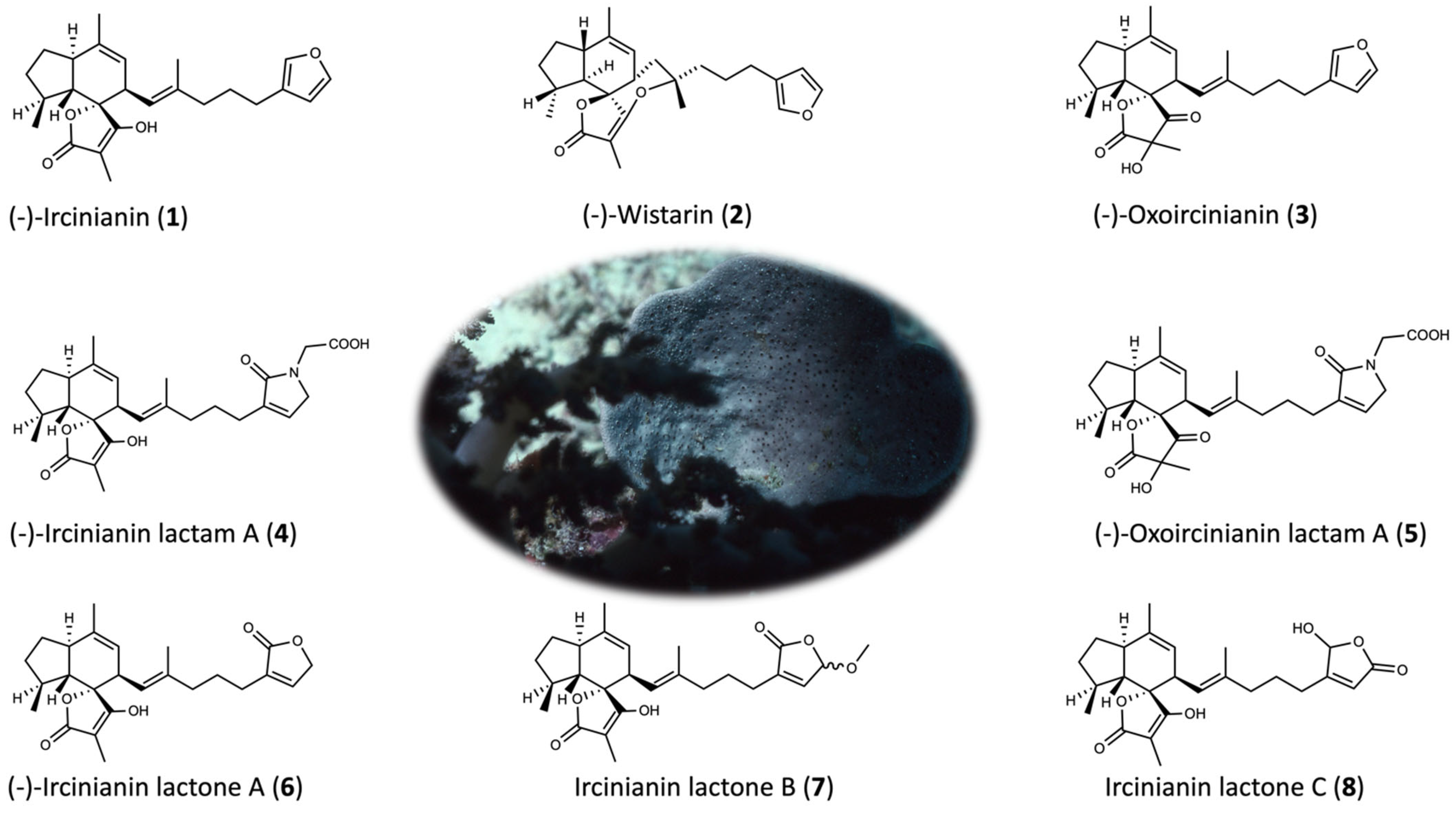 Marinedrugs 20 00532 g001