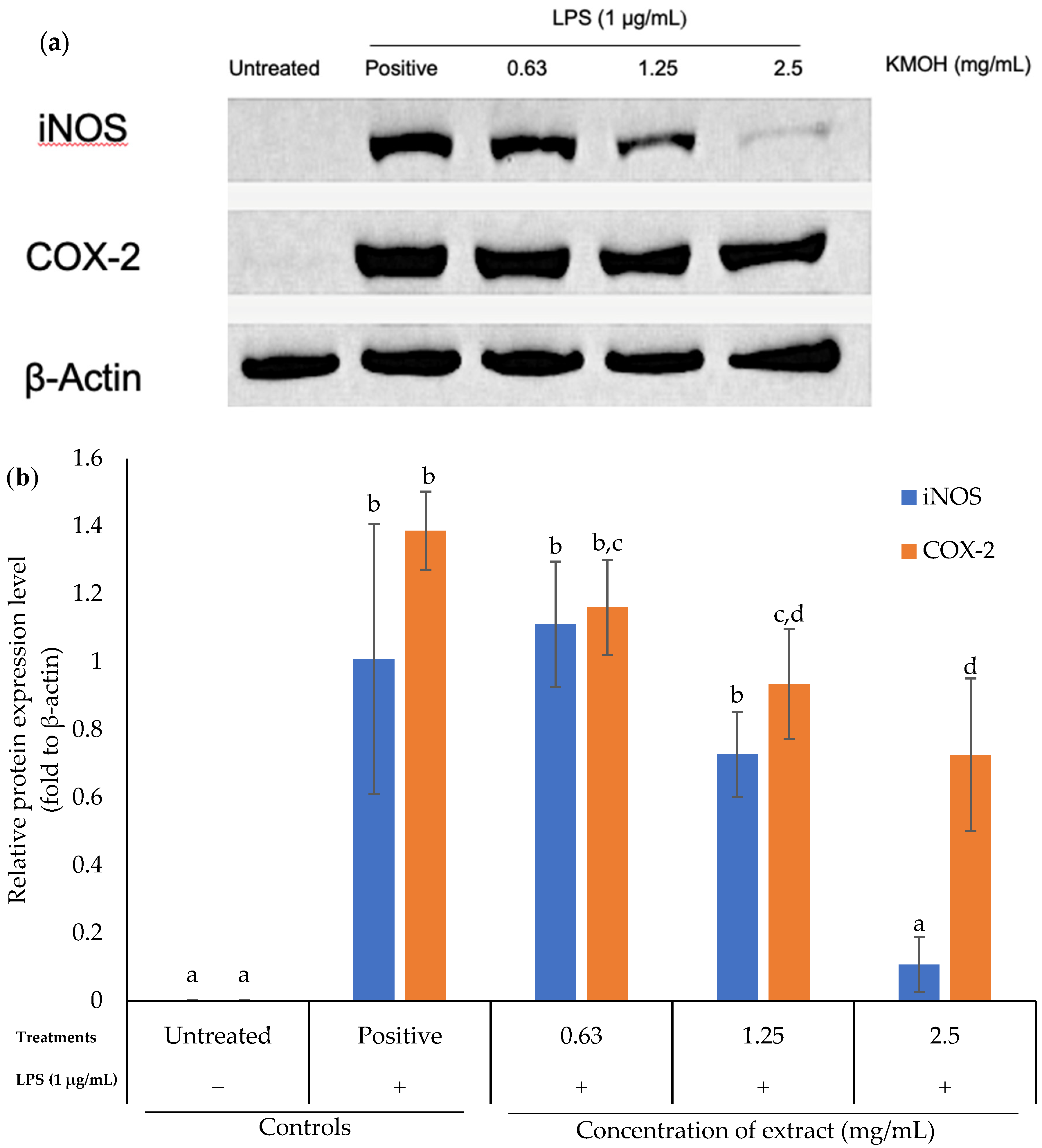 Marinedrugs 20 00534 g003 Marinedrugs 20 00534 g003