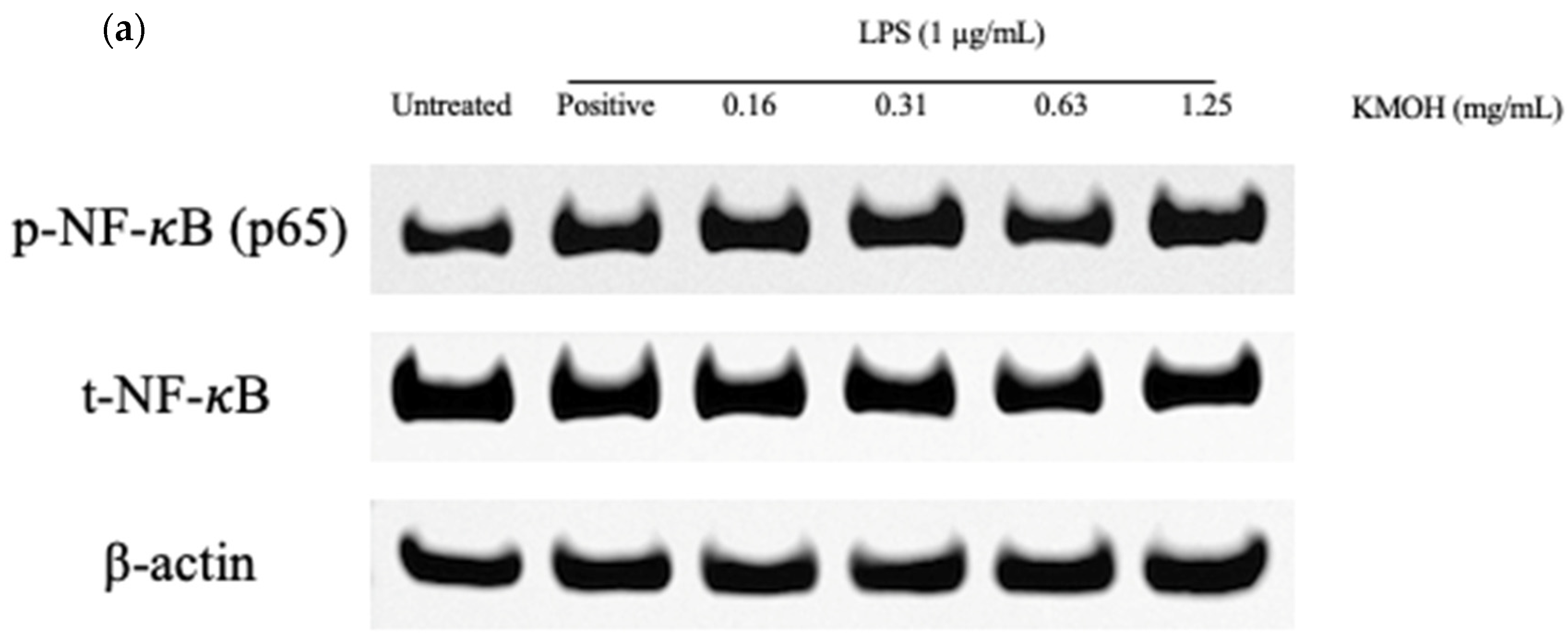 Marinedrugs 20 00534 g007a Marinedrugs 20 00534 g007a