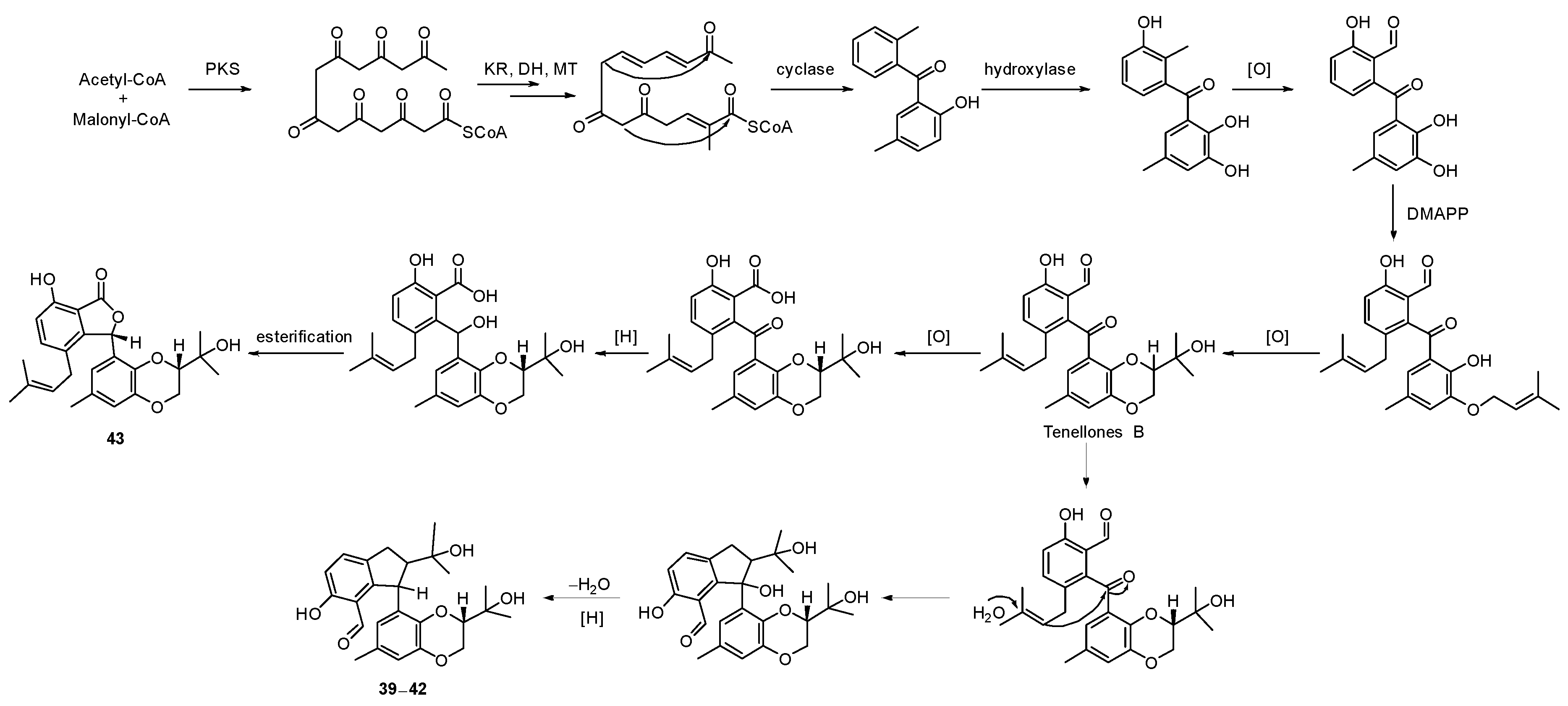 Marinedrugs 20 00535 sch005