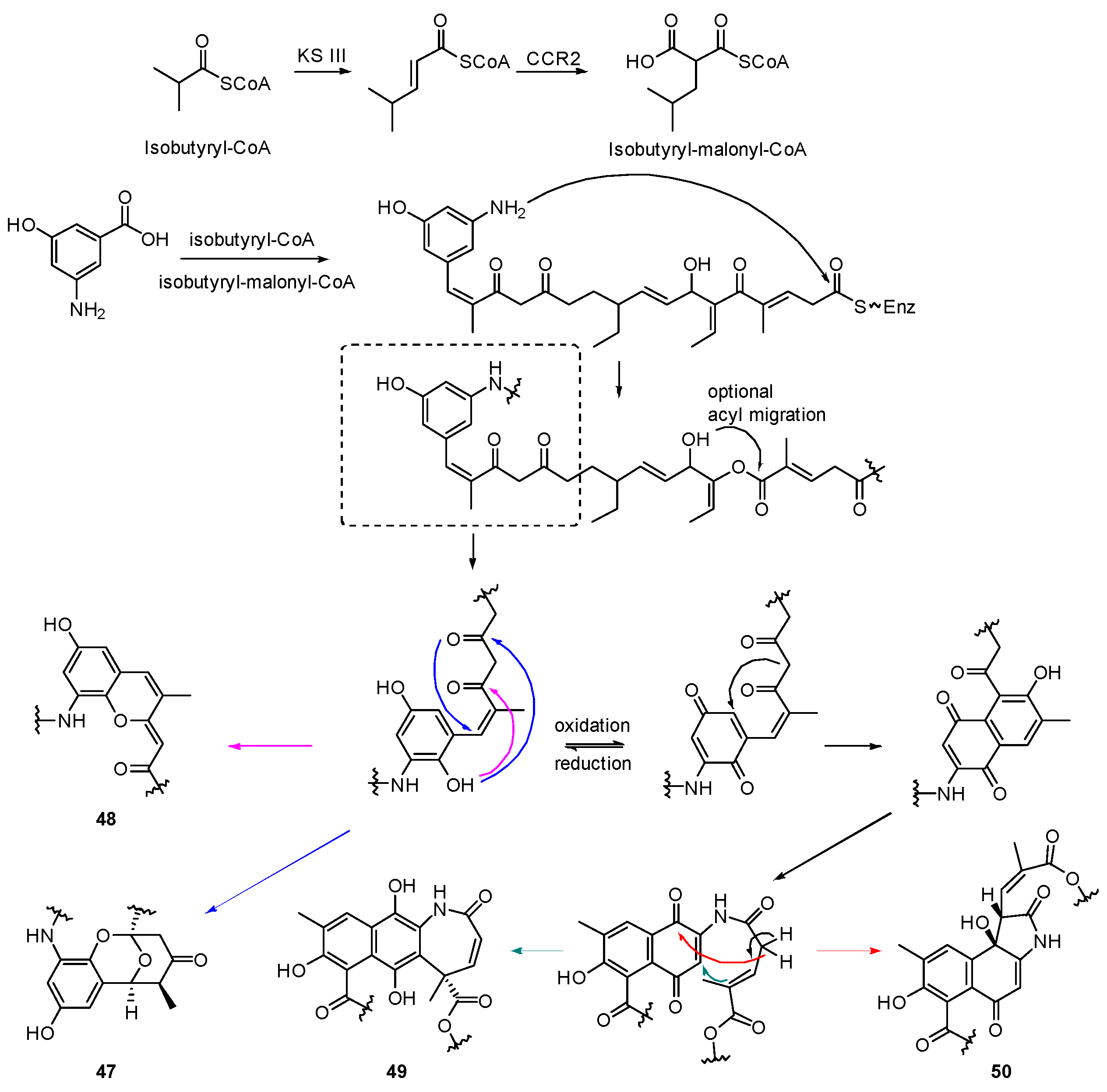 Marinedrugs 20 00535 sch006