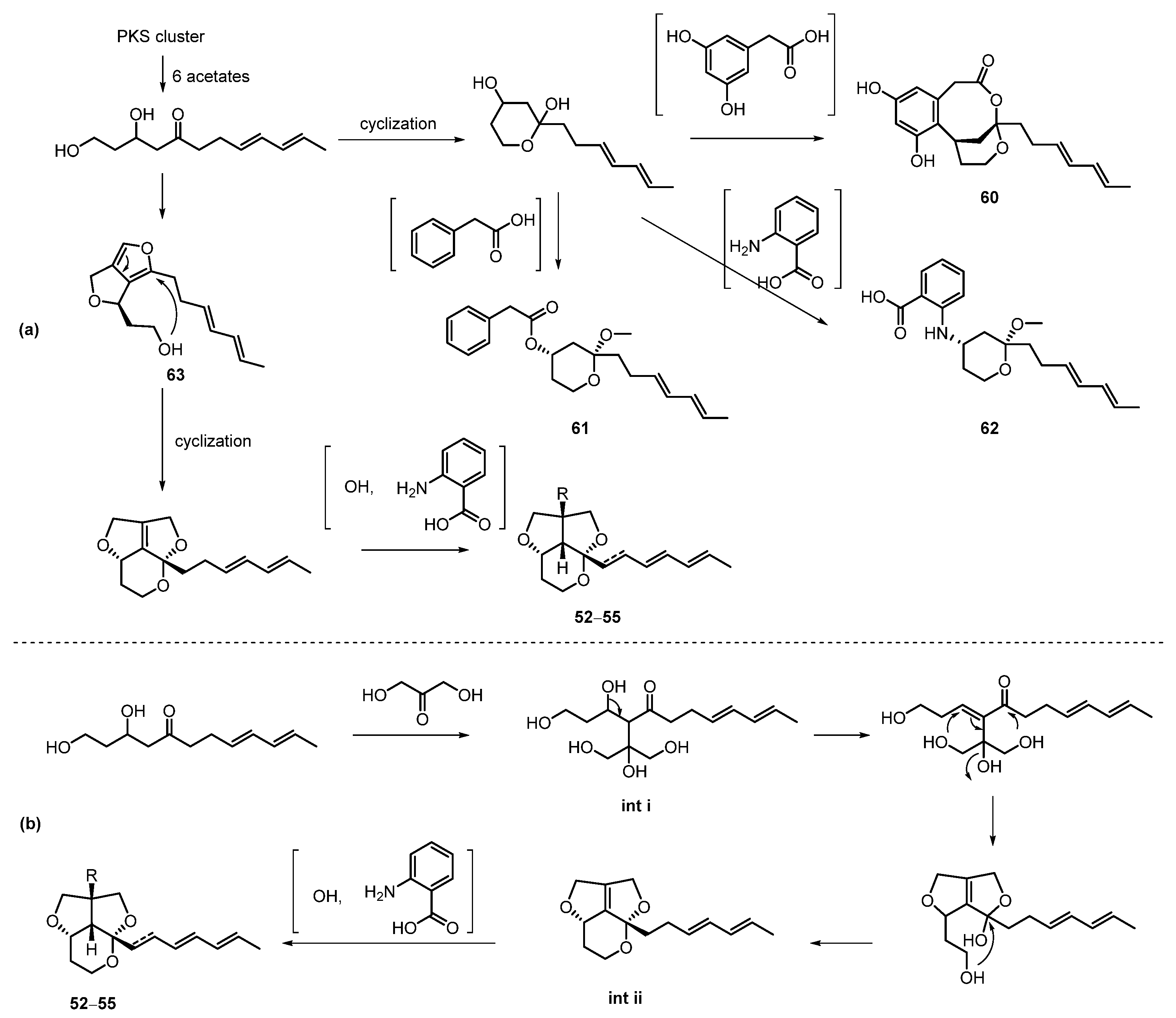 Marinedrugs 20 00535 sch008