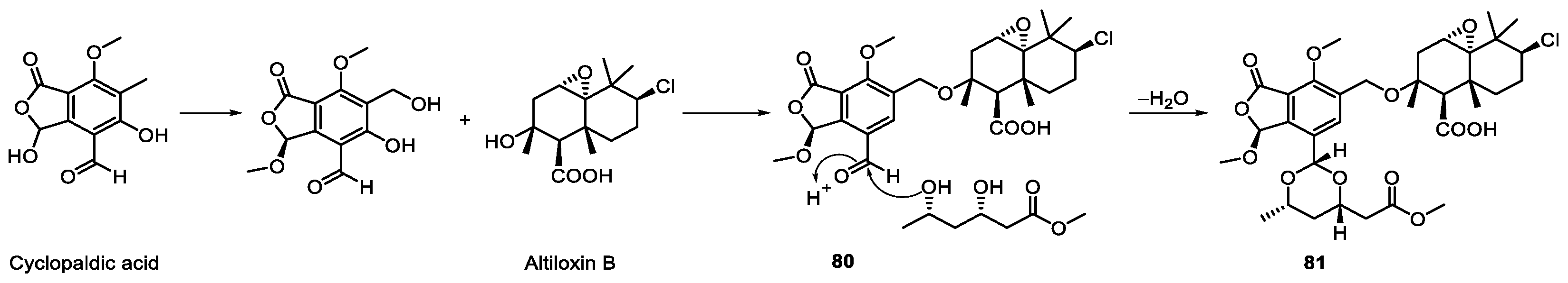 Marinedrugs 20 00535 sch013