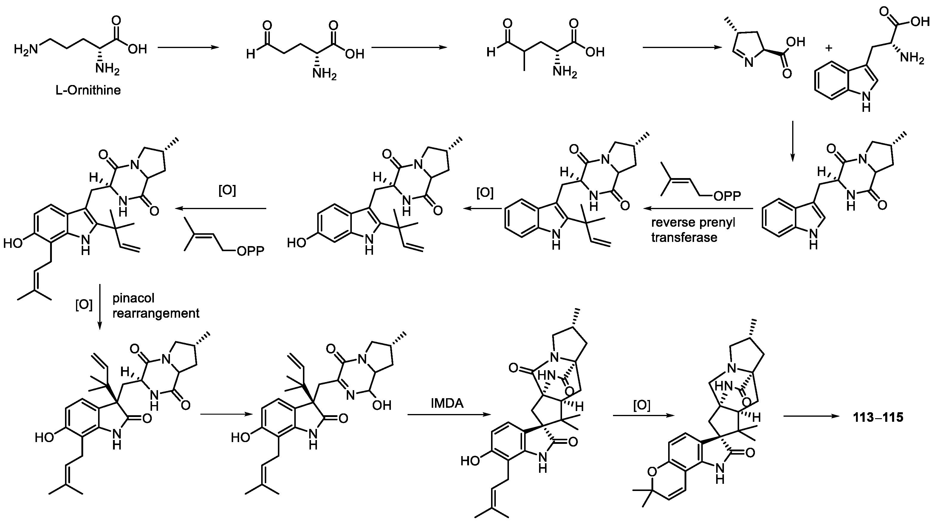 Marinedrugs 20 00535 sch021