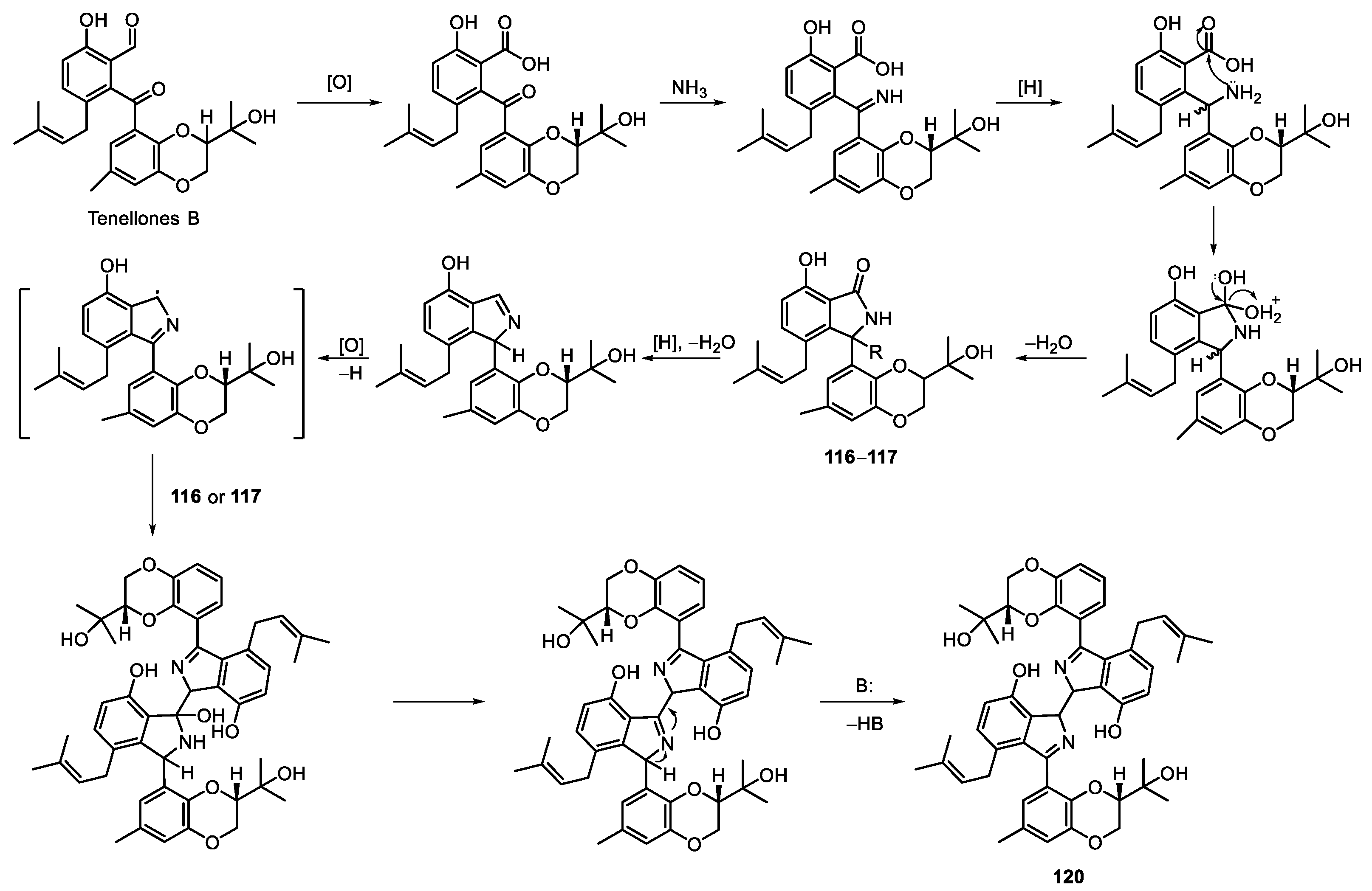 Marinedrugs 20 00535 sch022