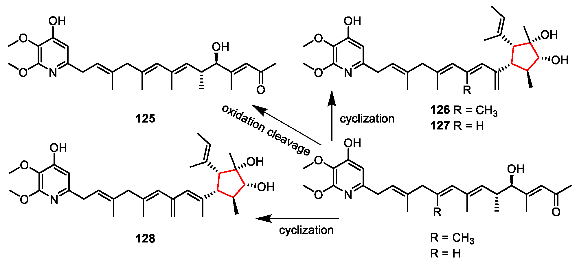 Marinedrugs 20 00535 sch025
