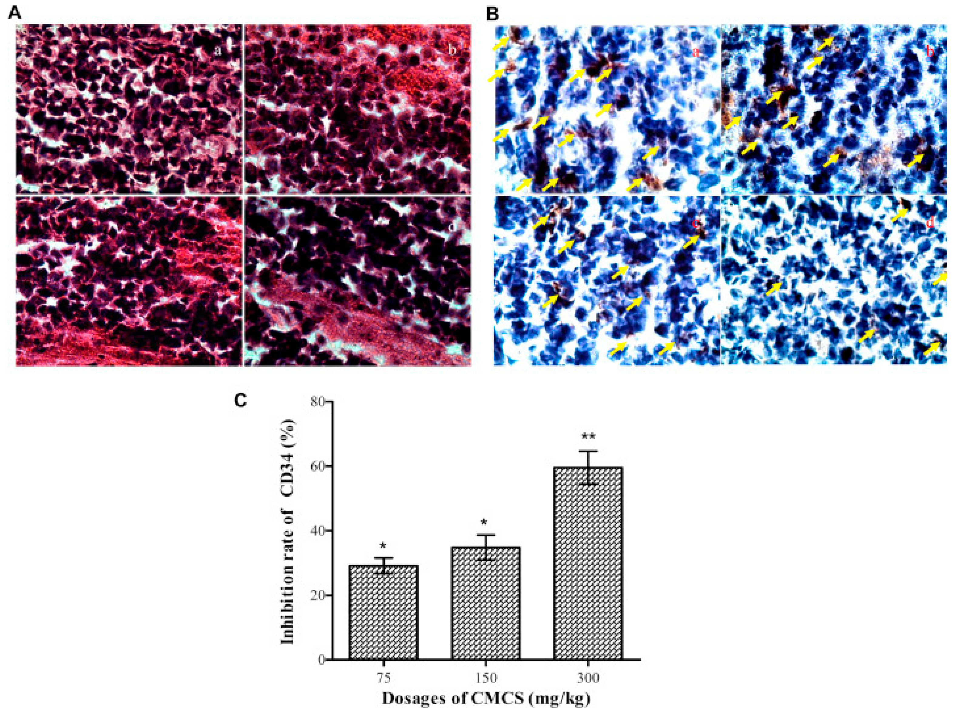 Marinedrugs 20 00536 g009 550