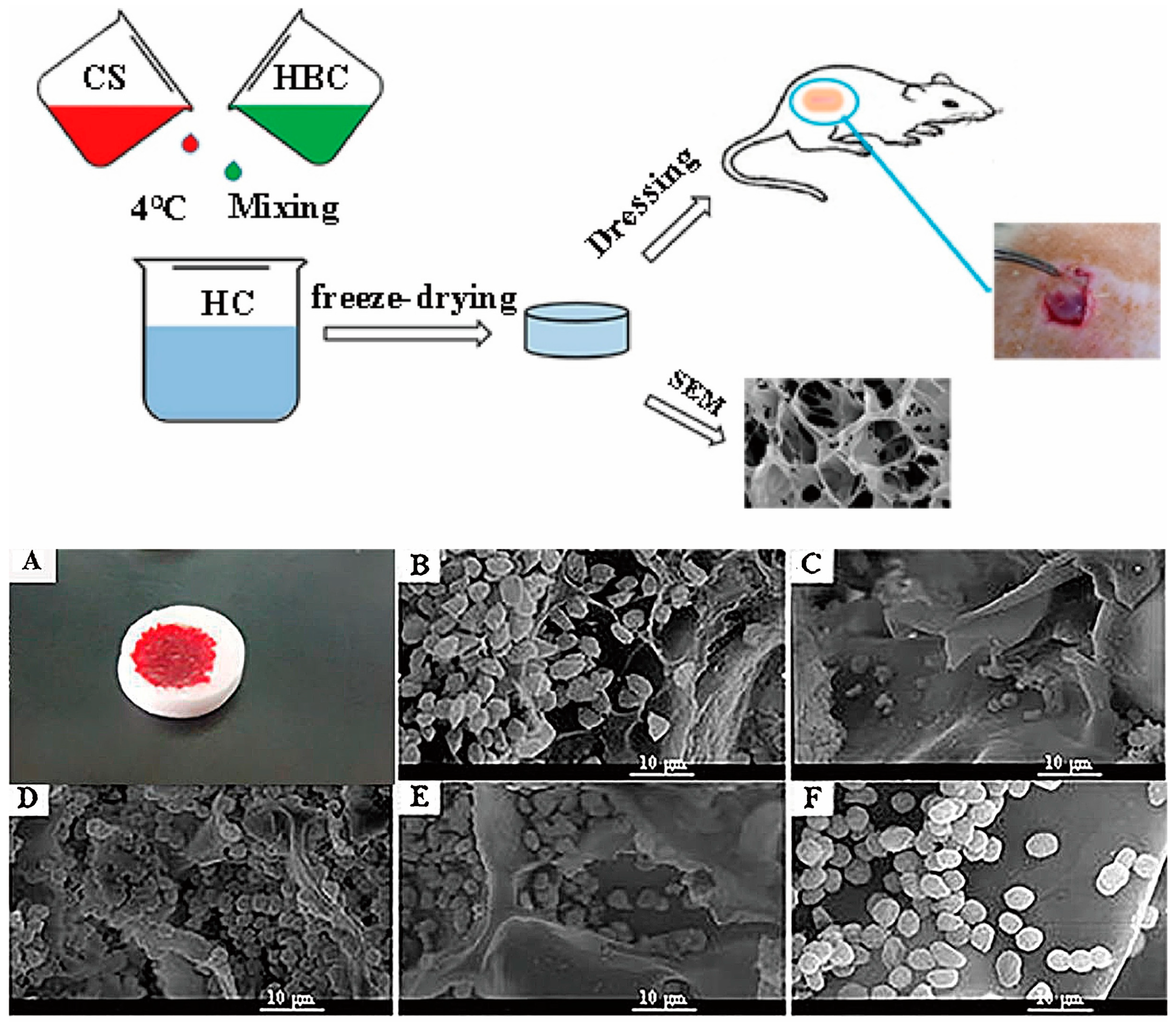 Marinedrugs 20 00536 g010 550