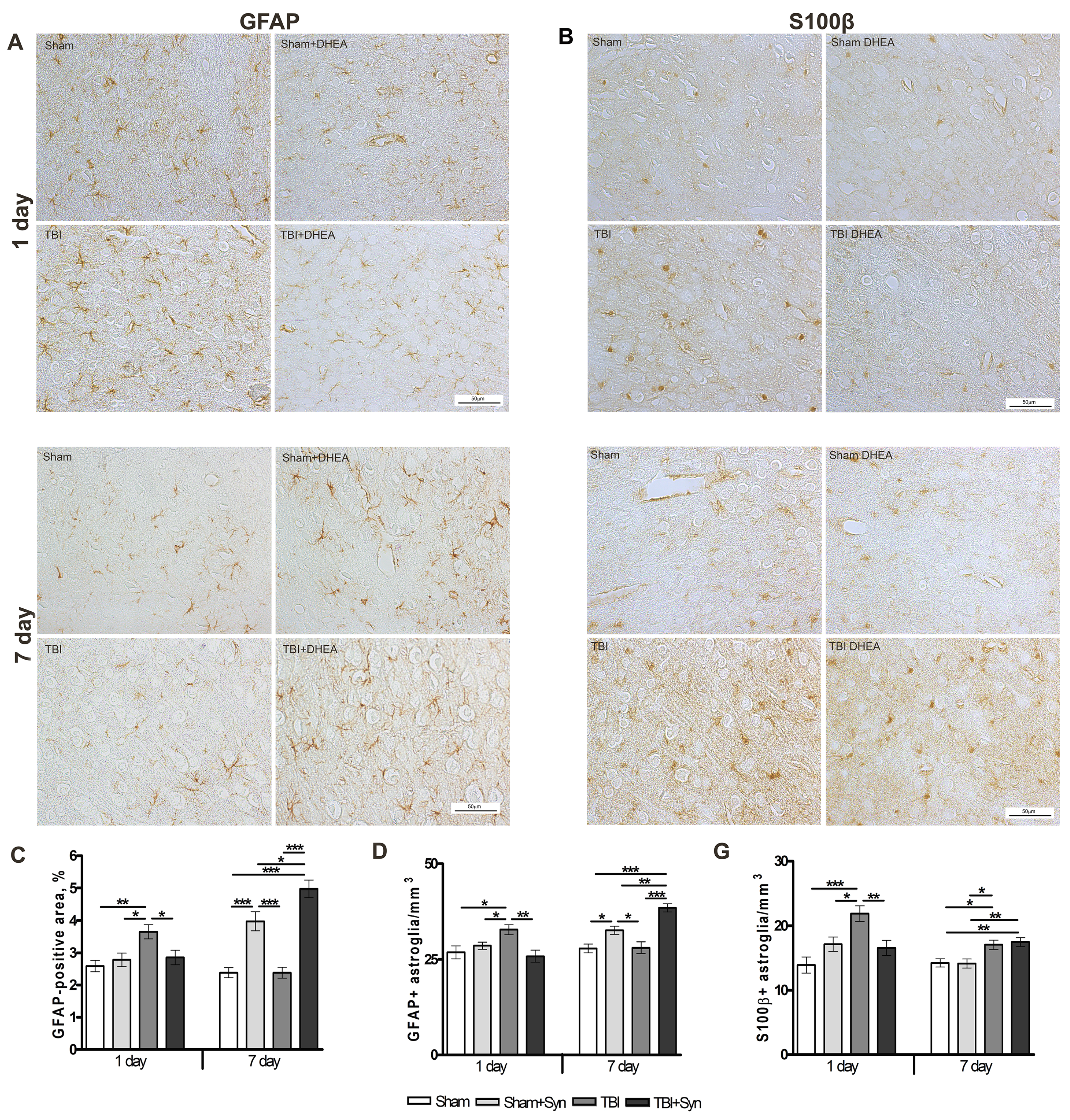 Marinedrugs 20 00538 g003 Marinedrugs 20 00538 g003