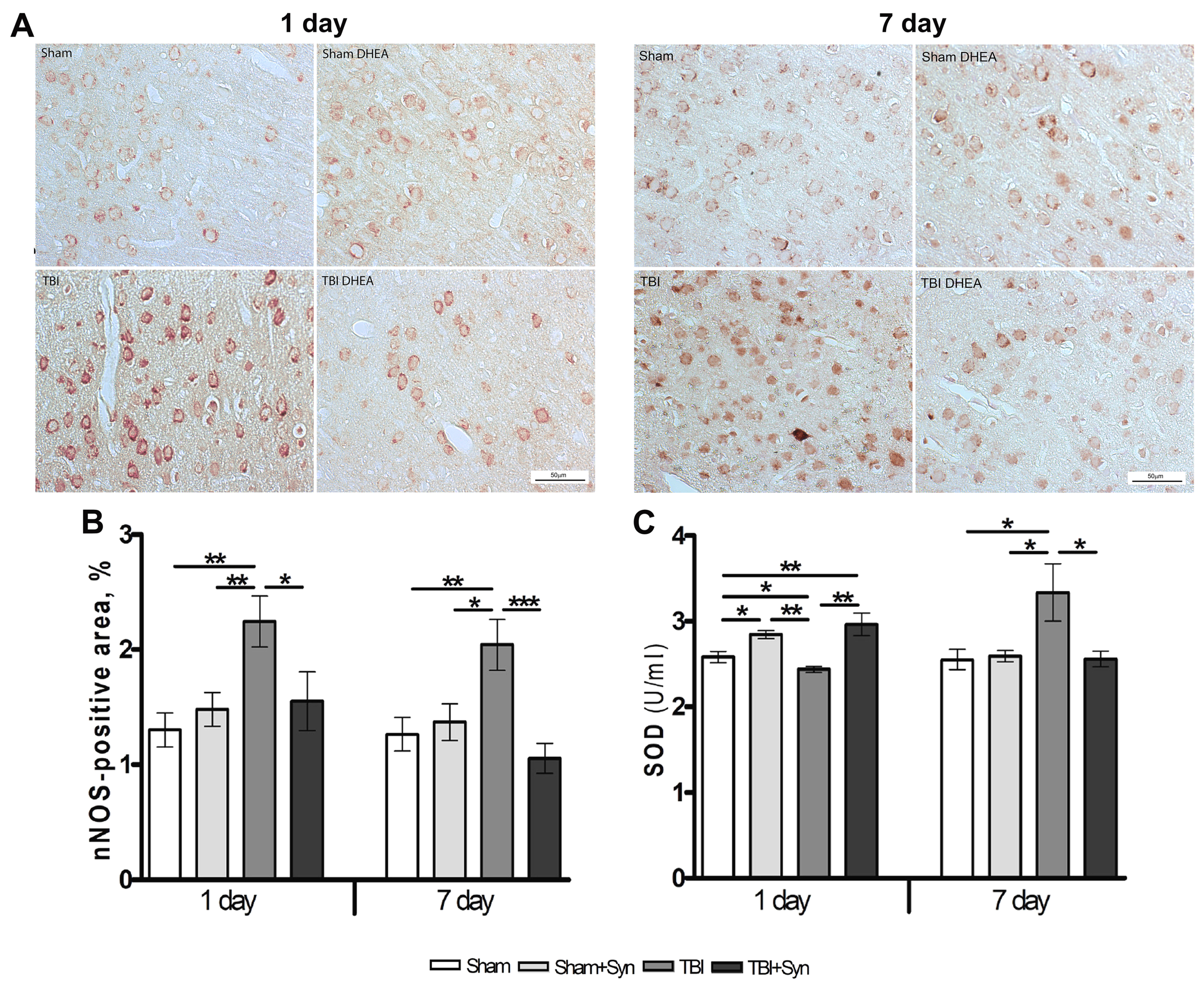 Marinedrugs 20 00538 g004 Marinedrugs 20 00538 g004