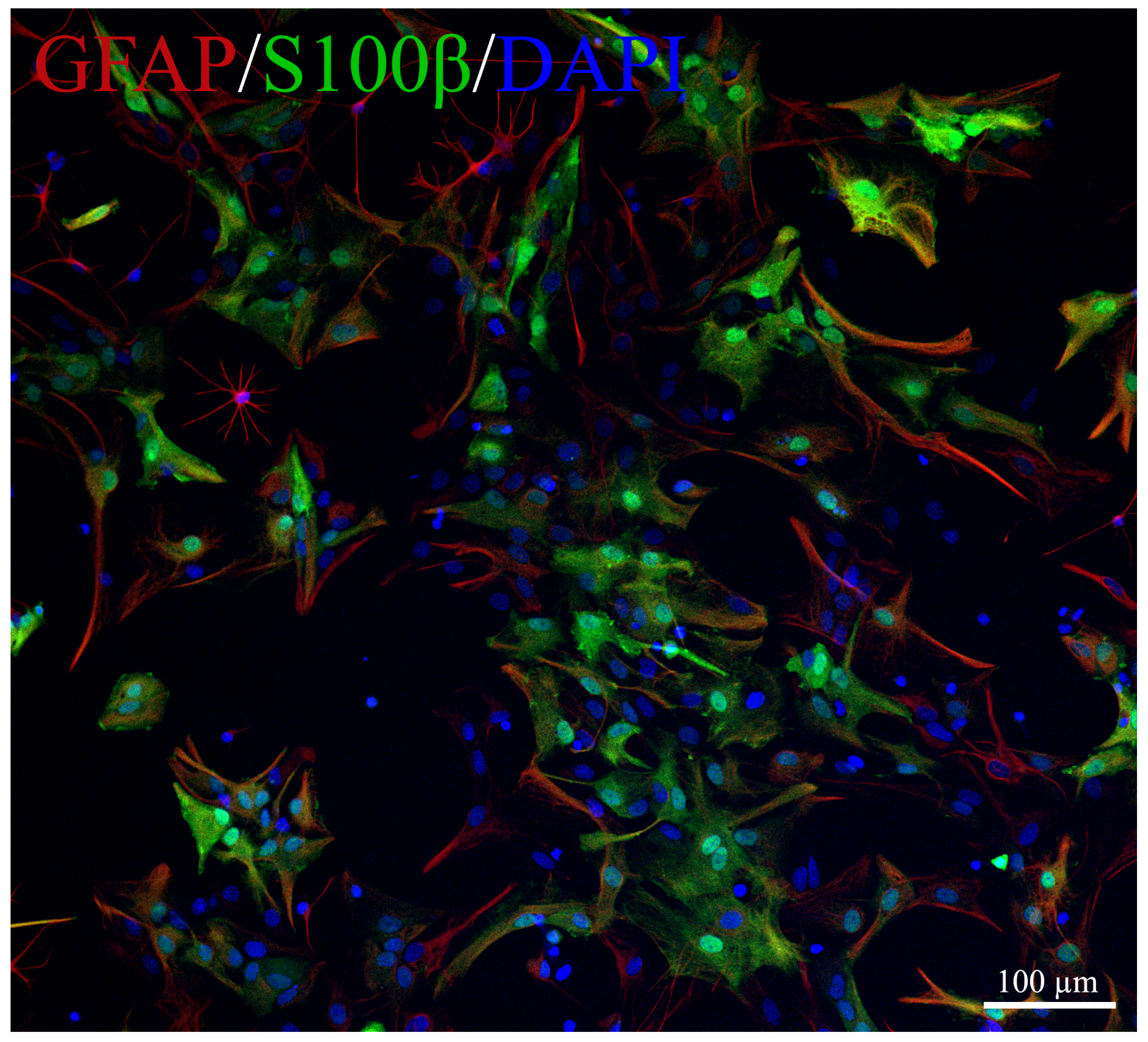 Marinedrugs 20 00538 g006 Marinedrugs 20 00538 g006