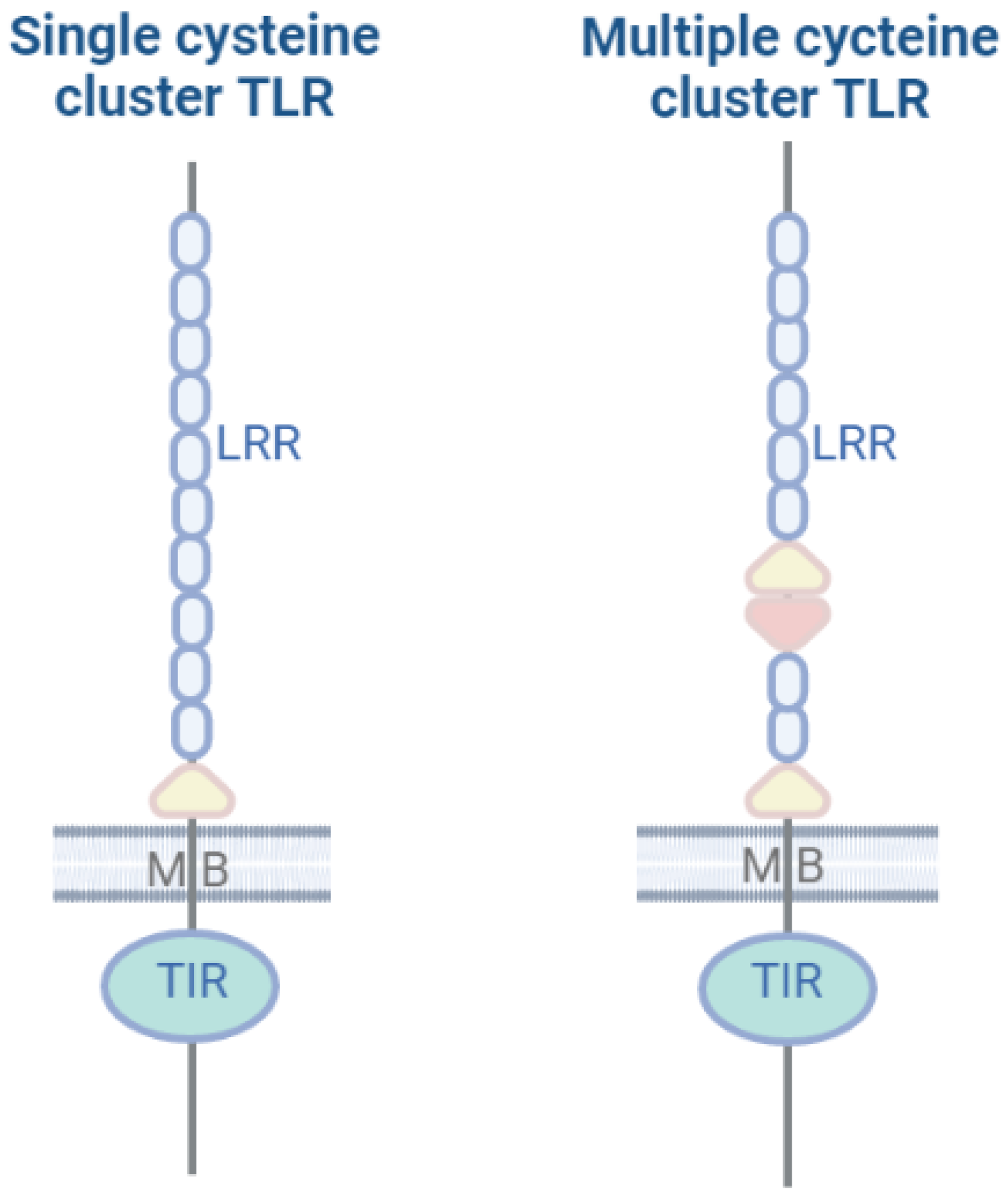 Marinedrugs 20 00549 g001 Marinedrugs 20 00549 g001