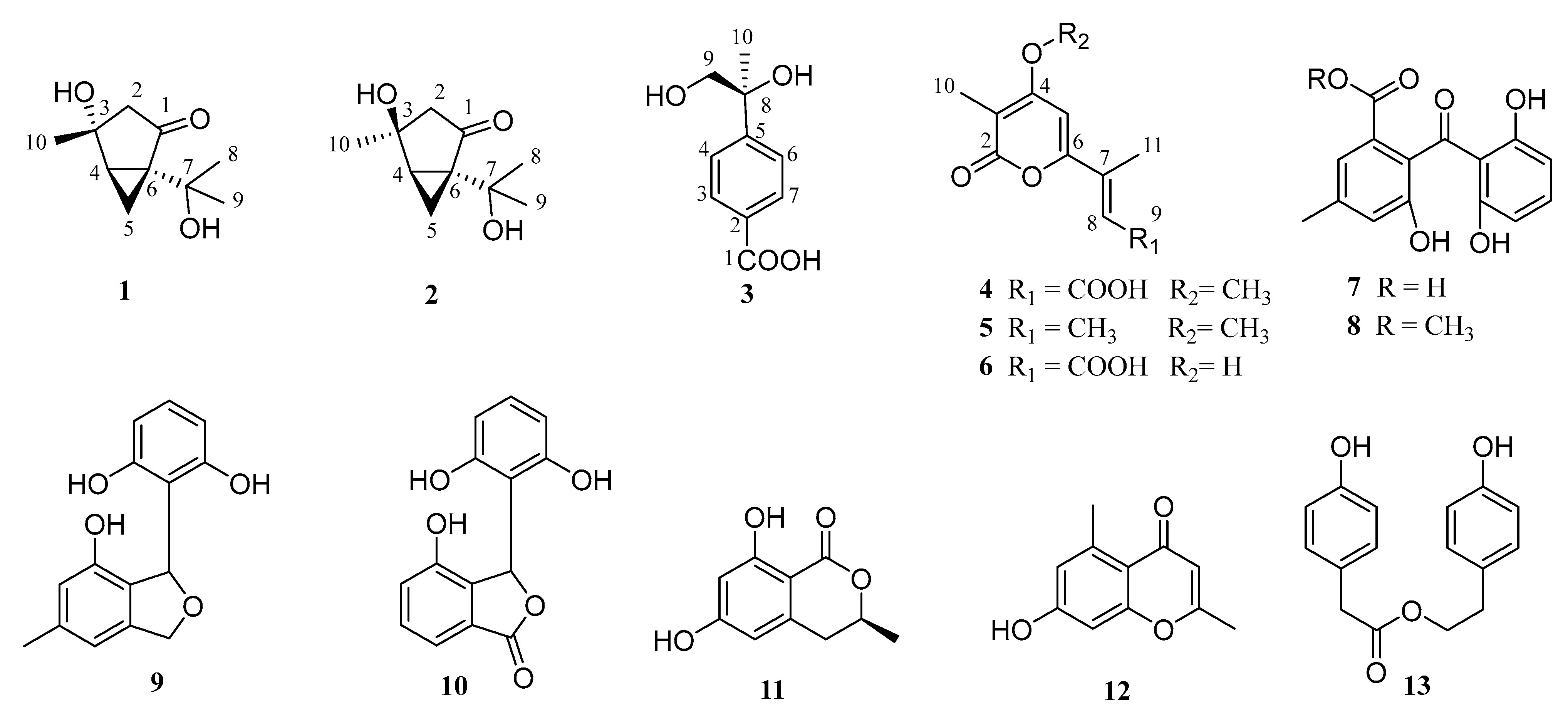 Marinedrugs 20 00553 g001