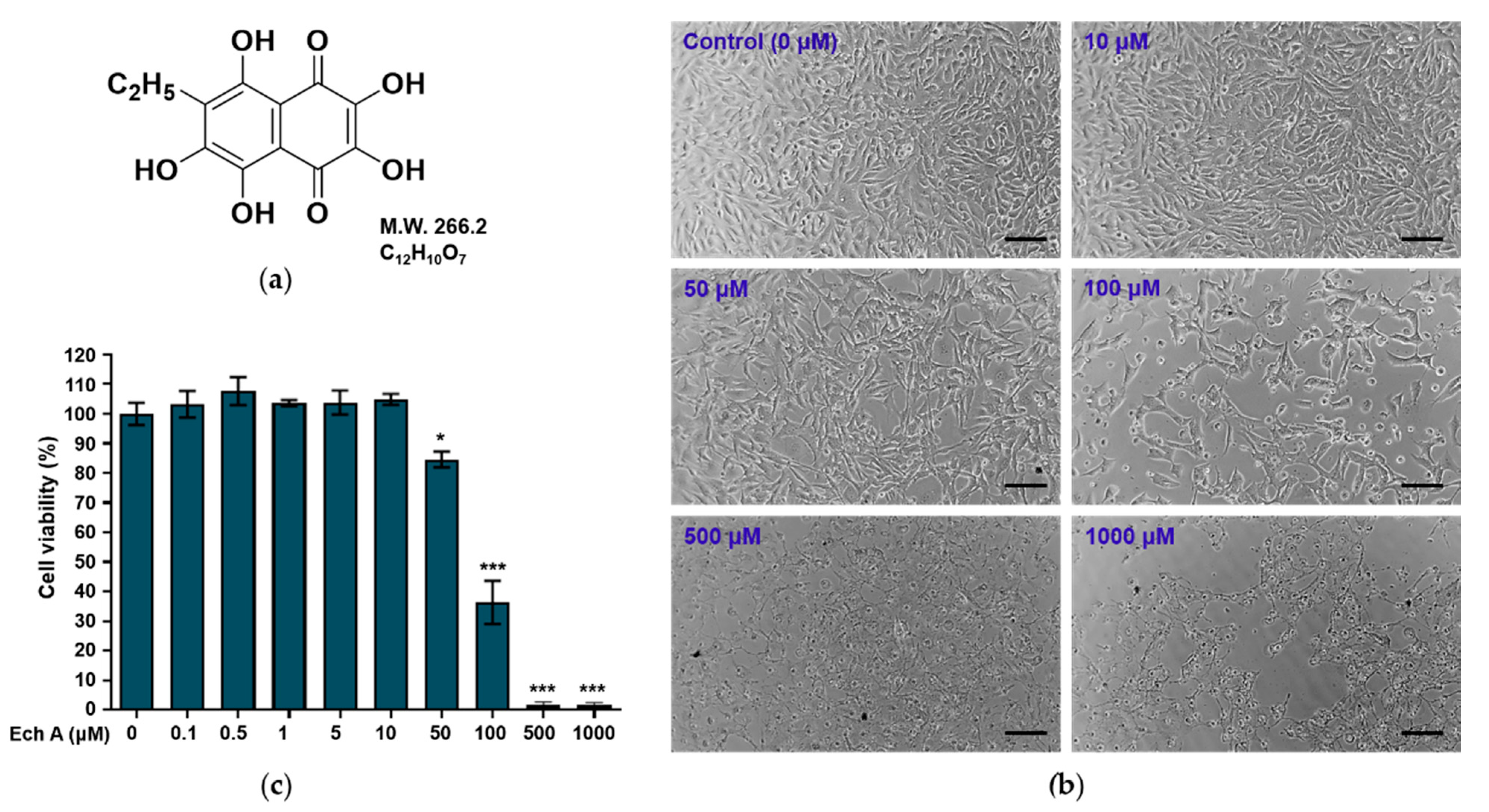 Marinedrugs 20 00555 g001