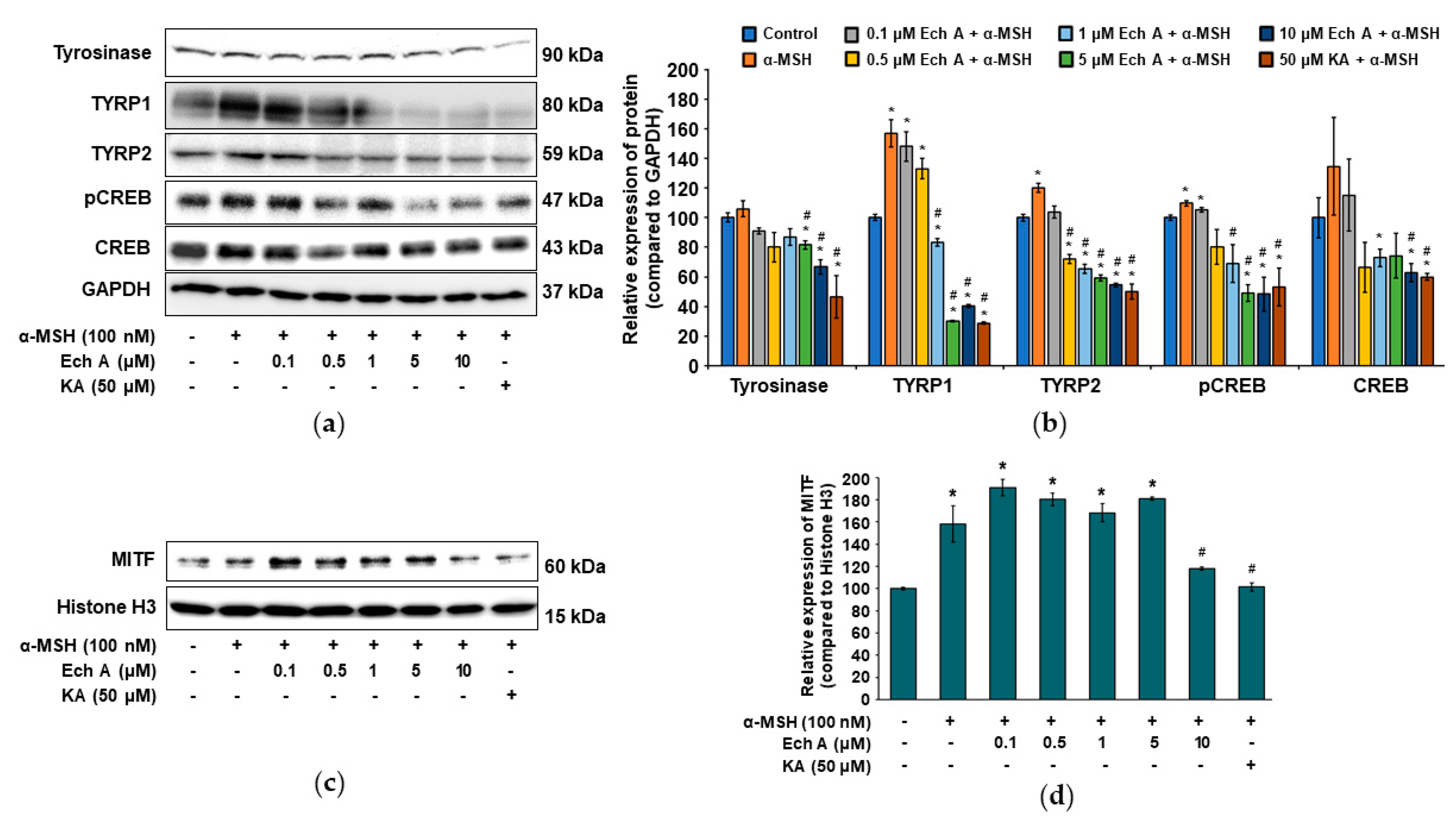 Marinedrugs 20 00555 g005