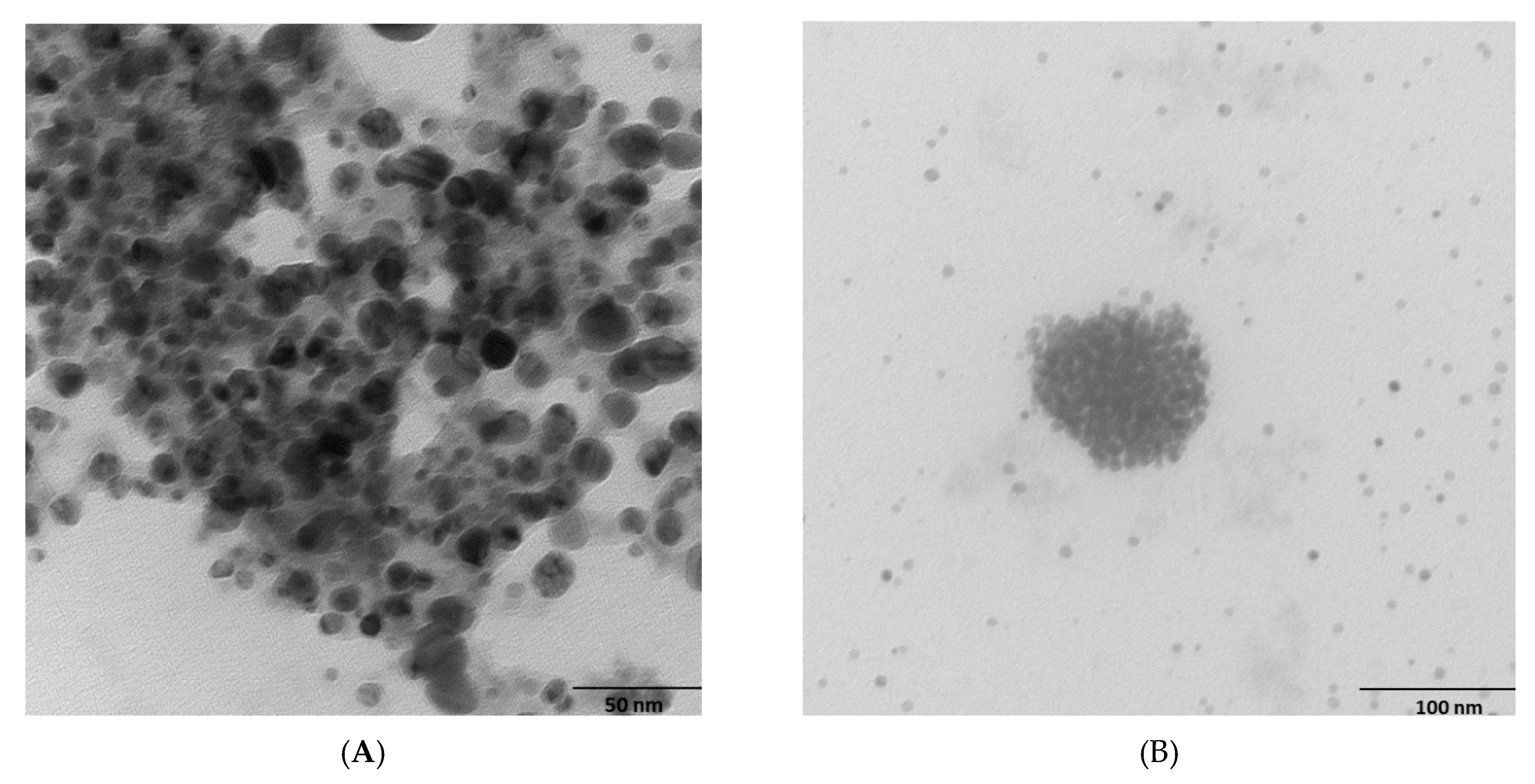 Marinedrugs 20 00558 g003a